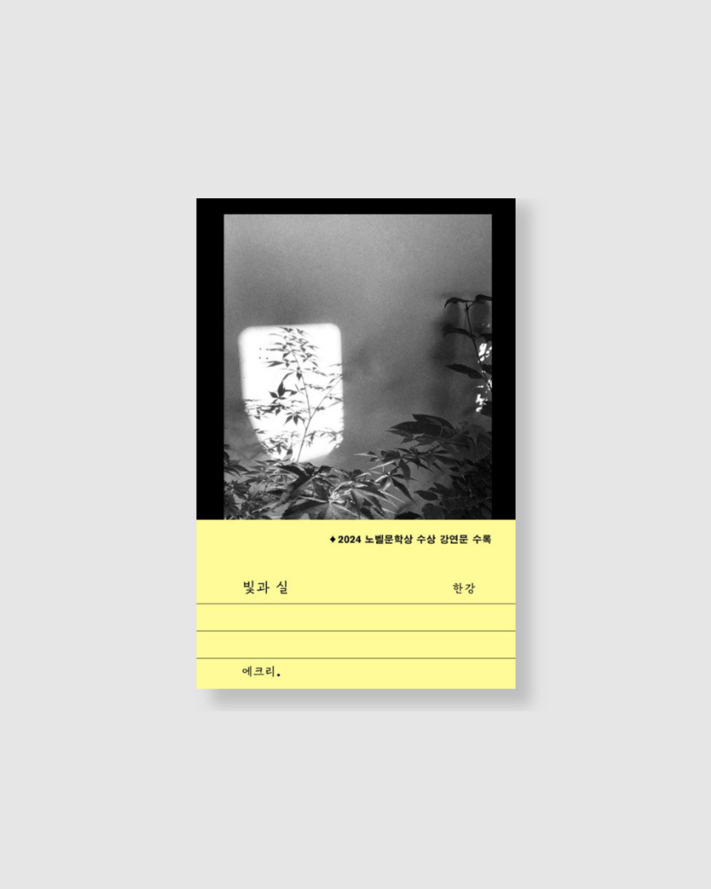 빛과 실|韓江最新作品《光與線》