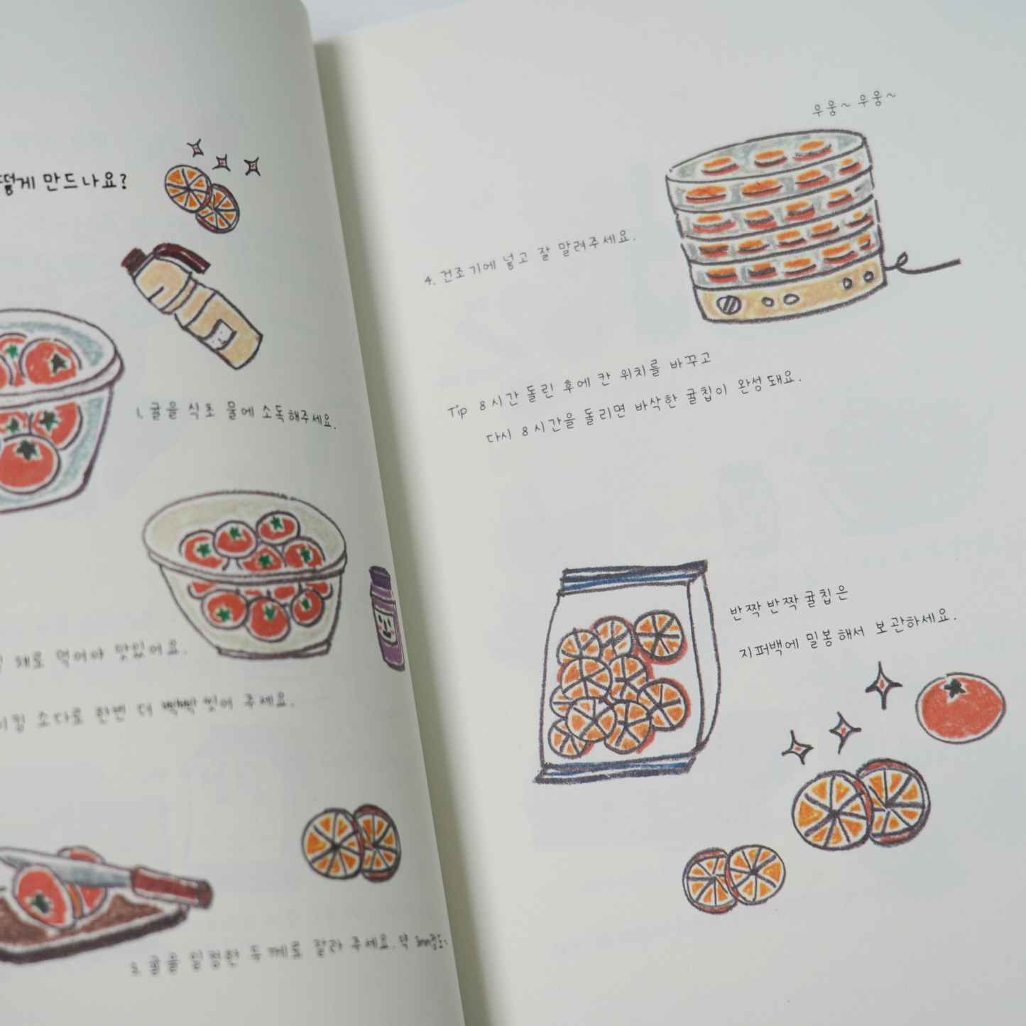 제주스러운 날들|제주도의 그 날들처럼