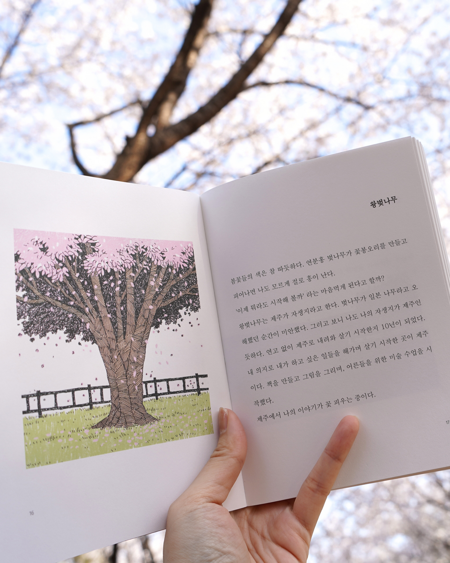 제주, 좋은날|Jeju, good days