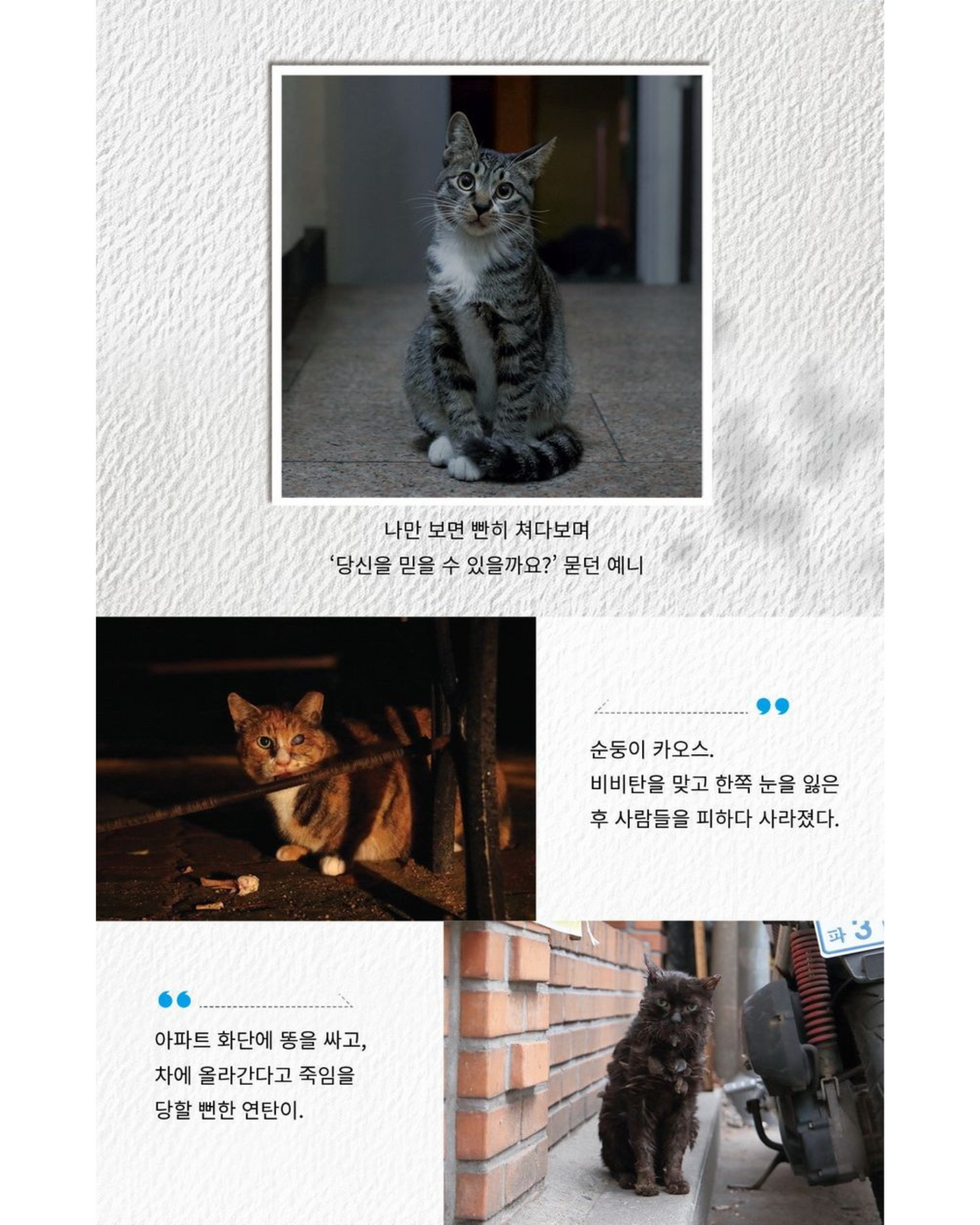 모두 늙었으면 죽겠다 |당신만 늙어가길 바랄게요