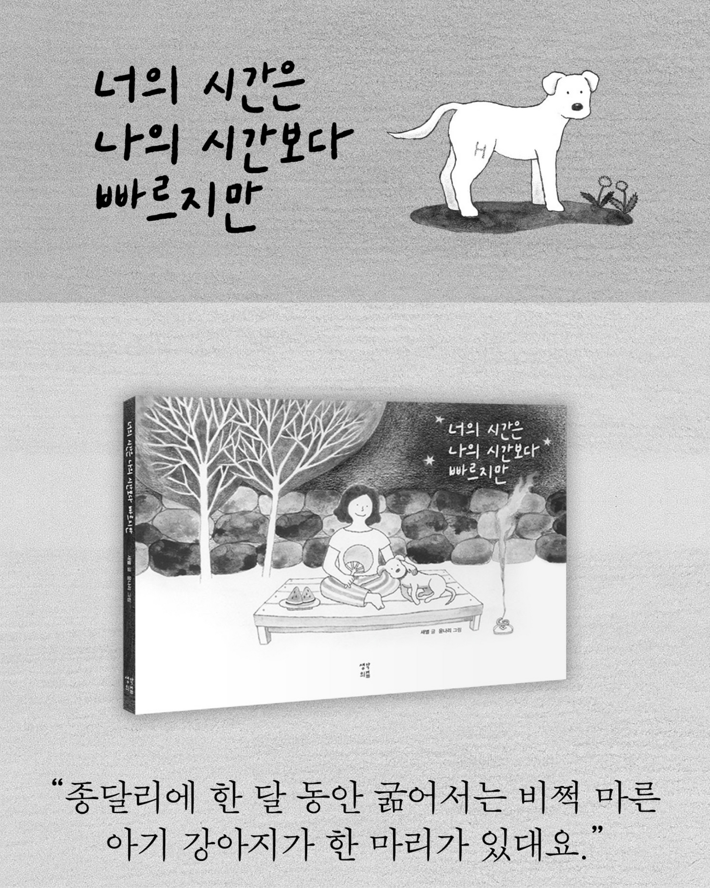 너의 시간은나의시간보다빠르지만|네 시간은 나보다 빠르다