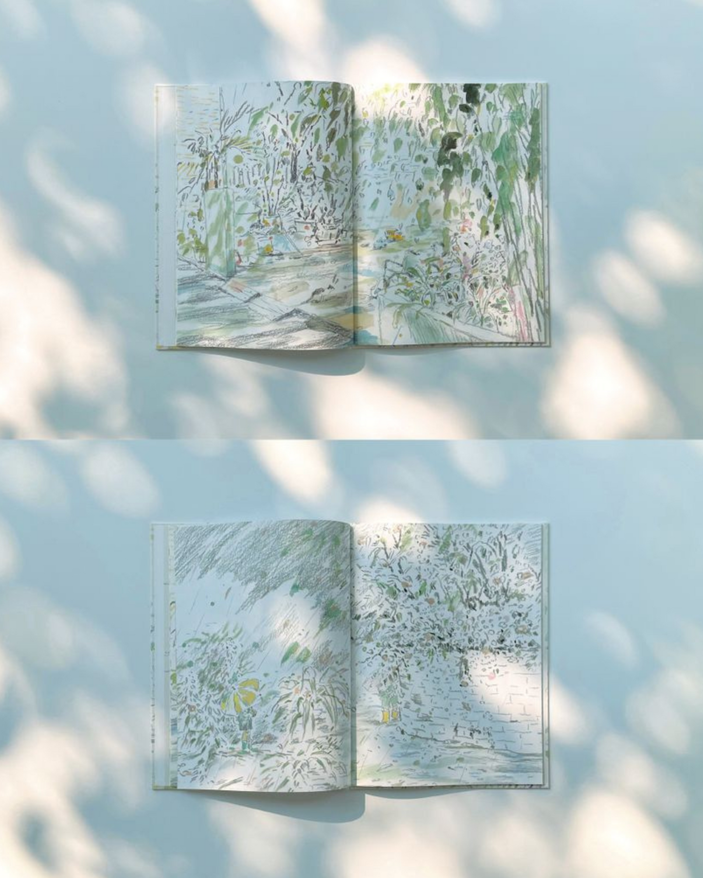 천천히 부는 바람|徐徐吹來的風