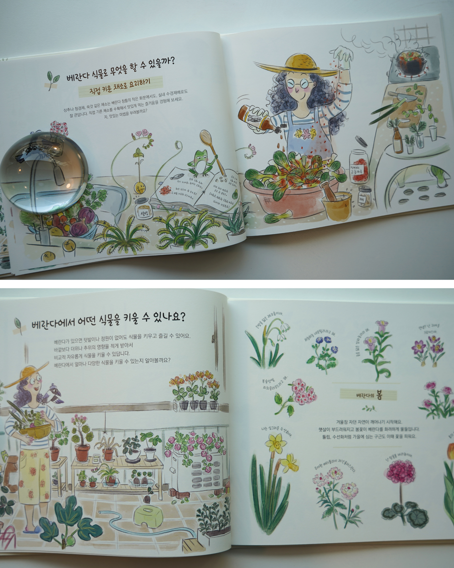 나의 작은 베란다 정원|我的小陽台花園