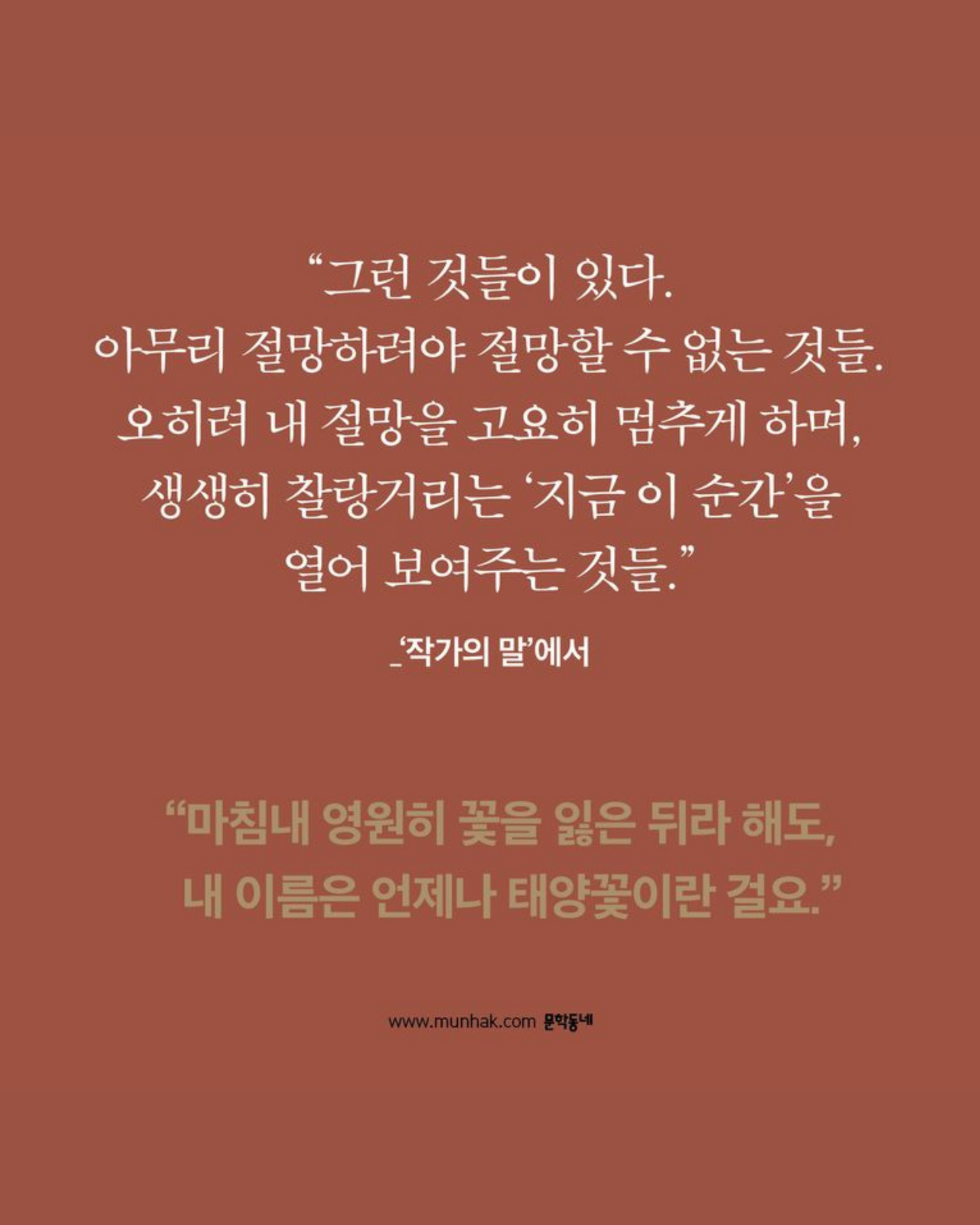 내 이름은 태양꽃|我的名字是太陽花|韓江寫給大人的童話