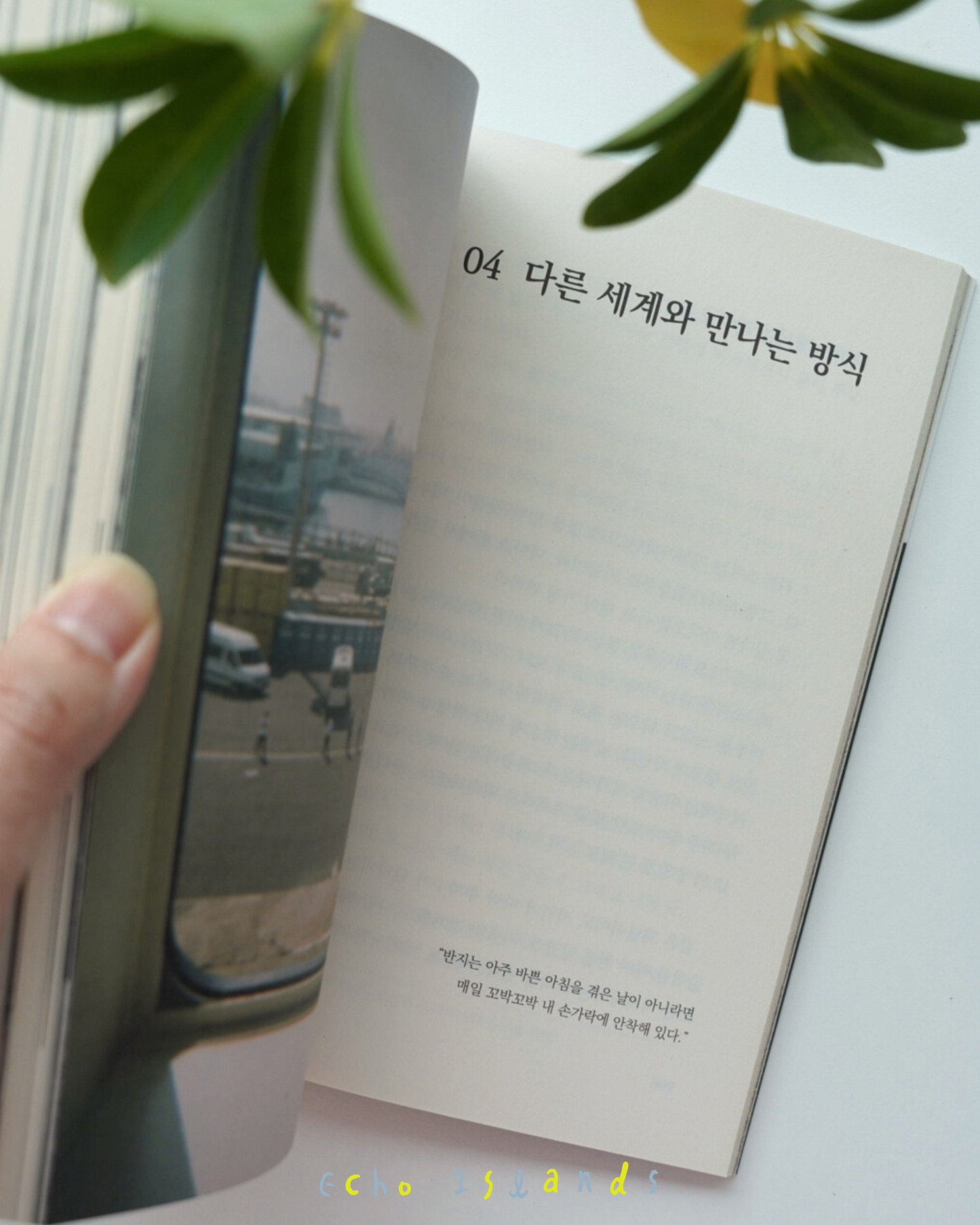 이토록 작은 세계로도|即便世界如此渺小