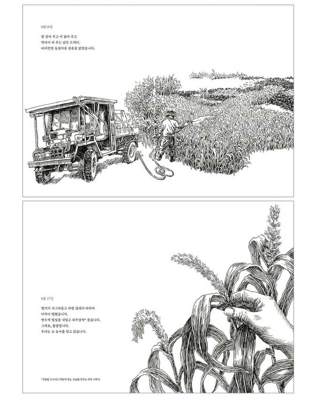 무등이왓에 부는 바람|濟州無人村吹來的風