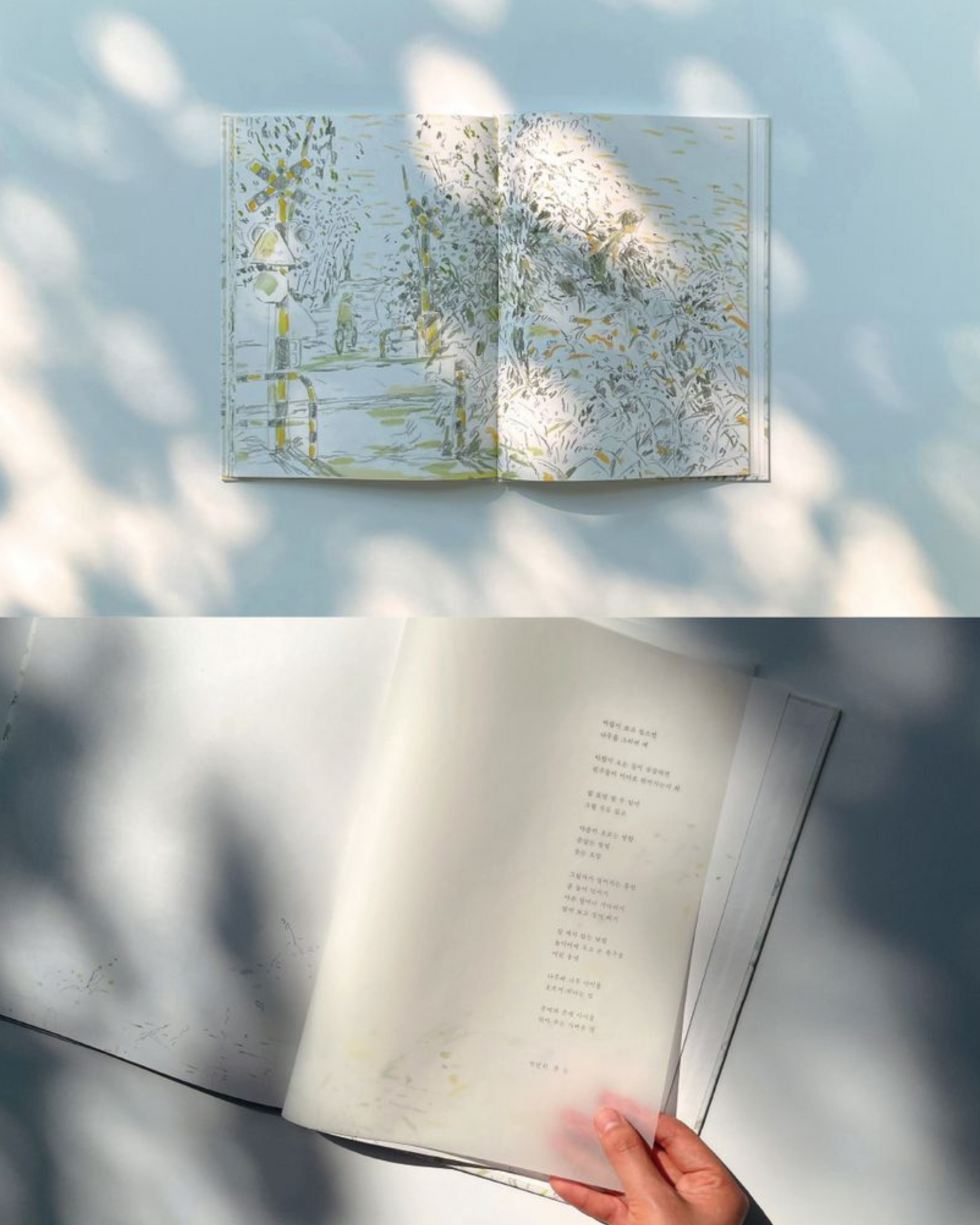 천천히 부는 바람|徐徐吹來的風