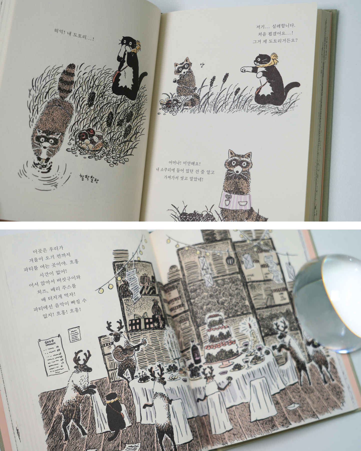 모 이야기|賓士貓的森林冒險