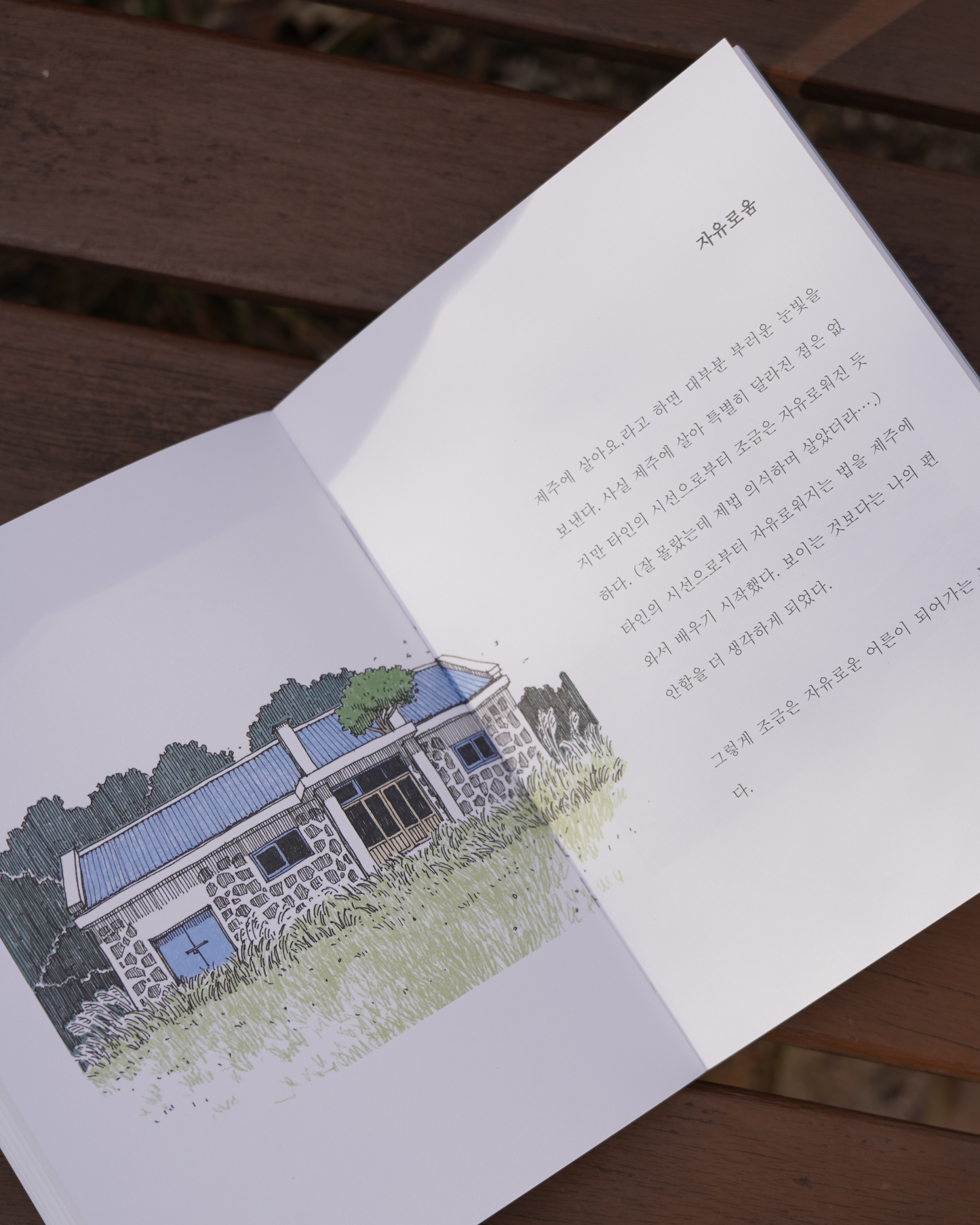제주, 좋은날|Jeju, good days