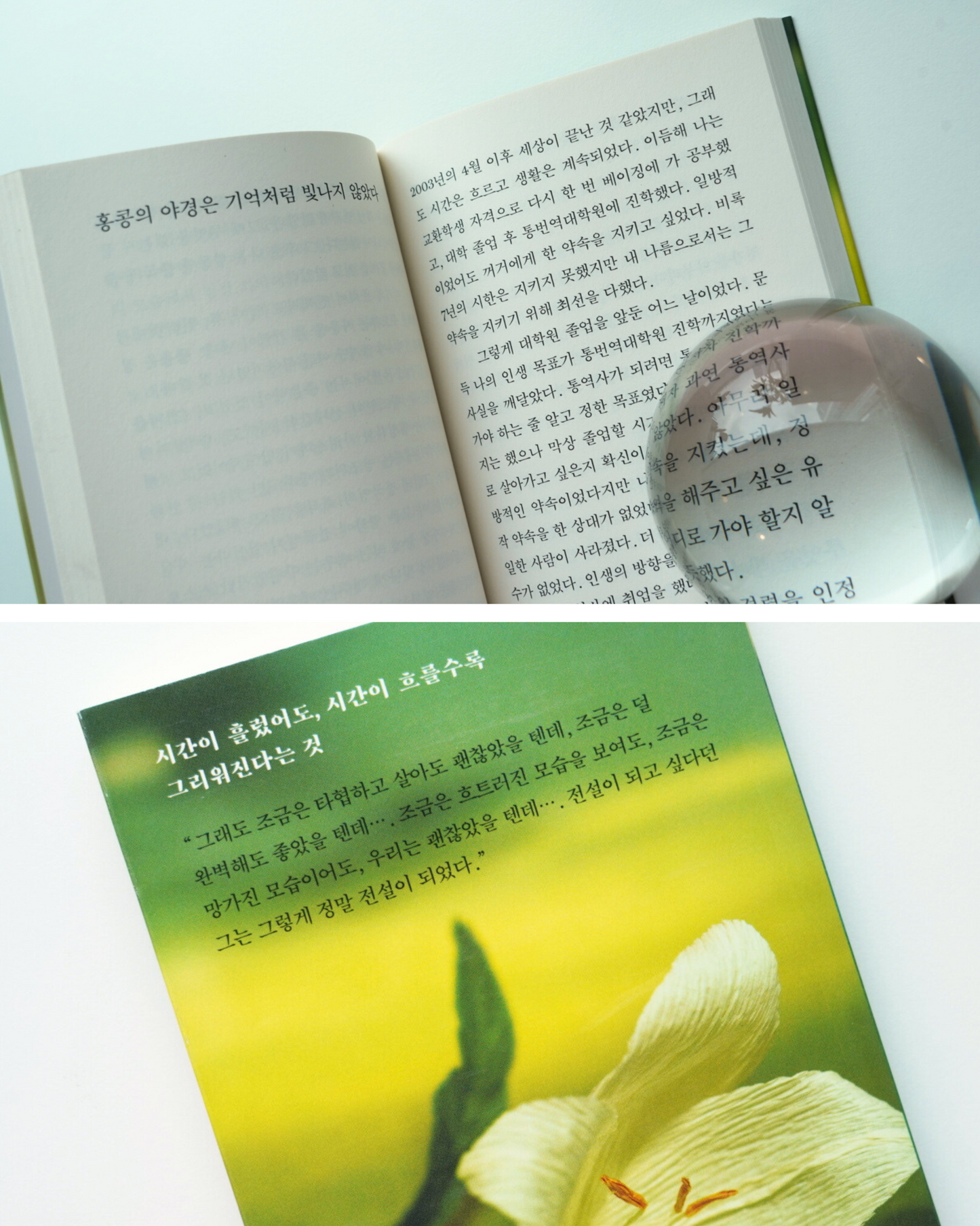 아무튼, 장국영|無論如何,張國榮