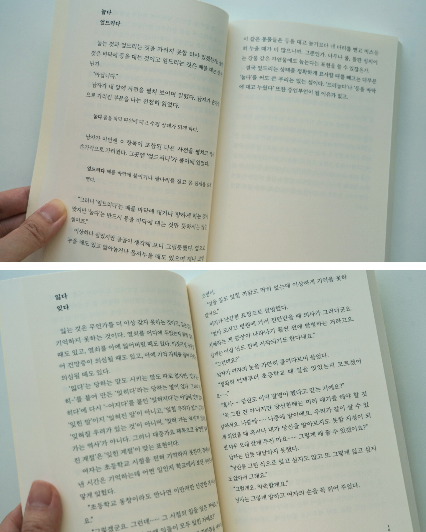 동사의 맛|動詞的滋味