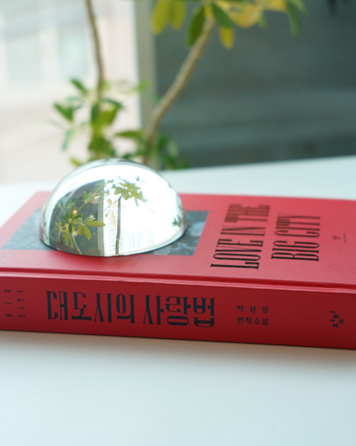 장거리의사랑법|Love in the Big City 양장본