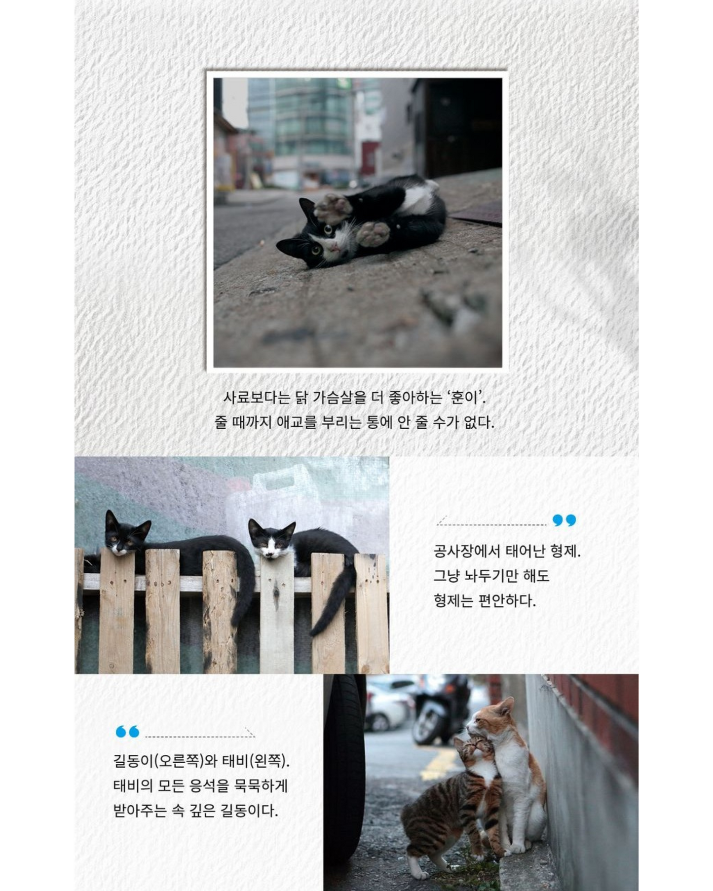 모두 늙었으면 죽겠다 |당신만 늙어가길 바랄게요