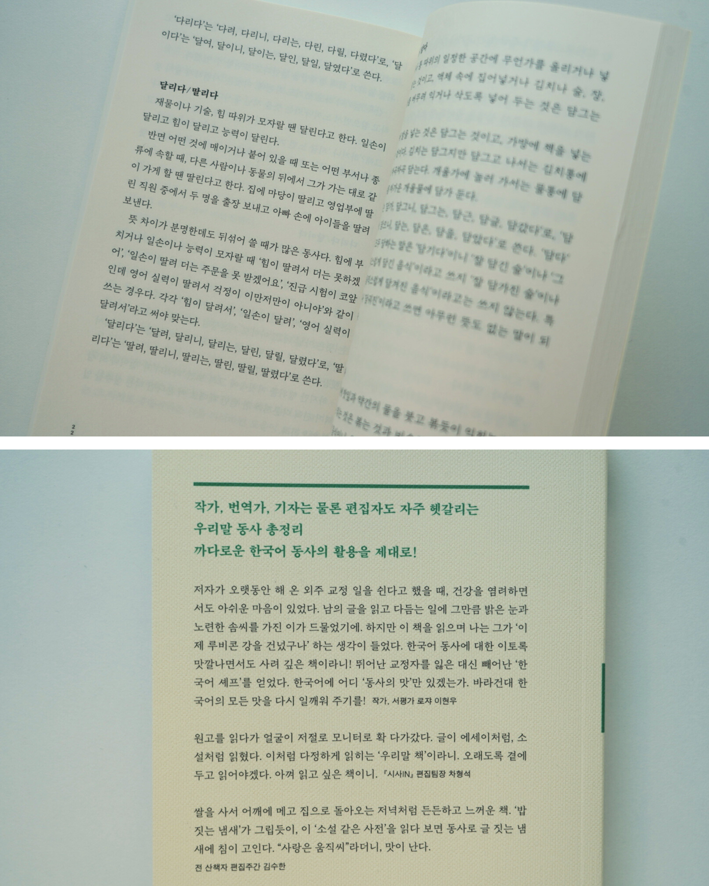 동사의 맛|動詞的滋味