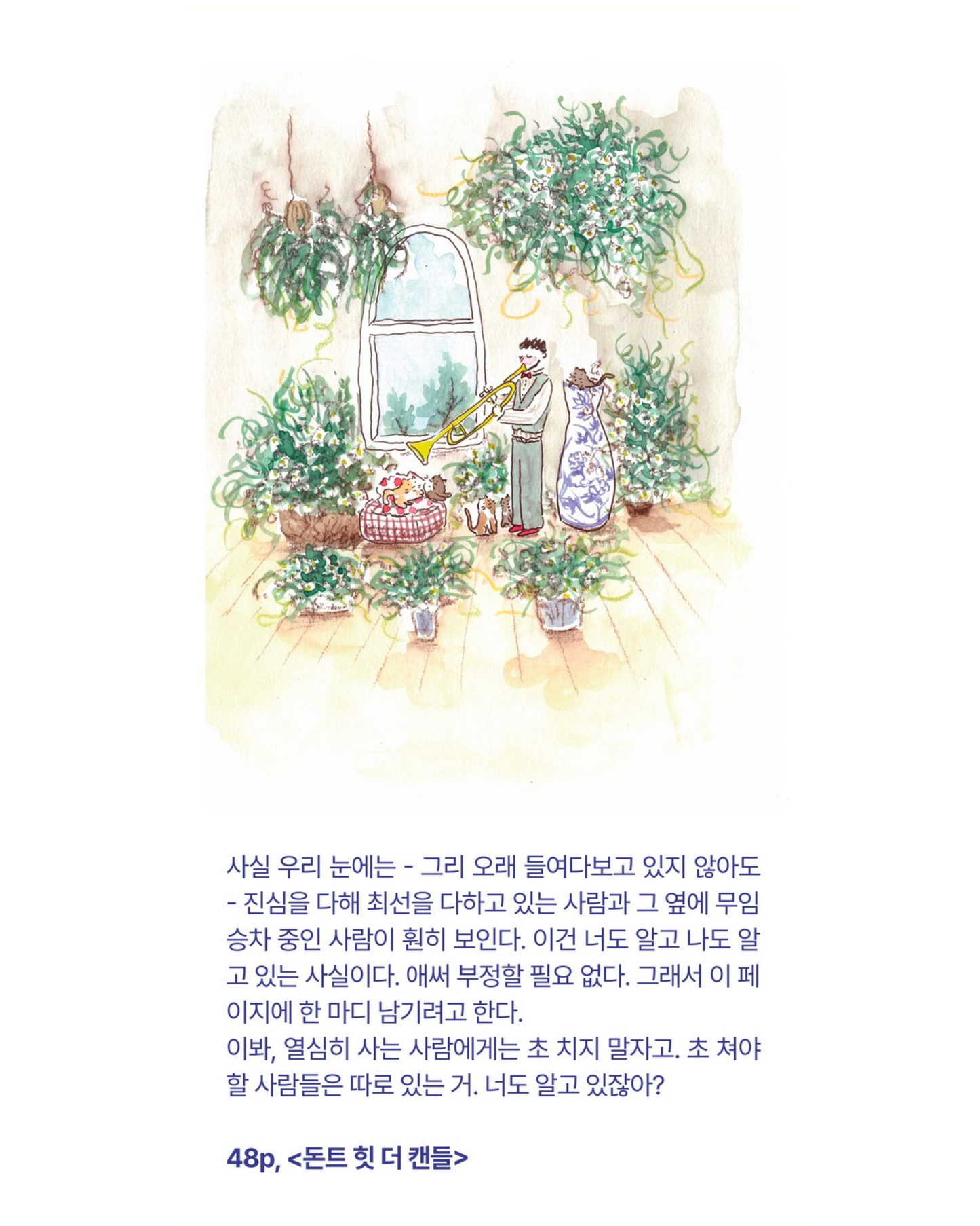 아무래도 좋은 하루|無論如何都是美好的一天