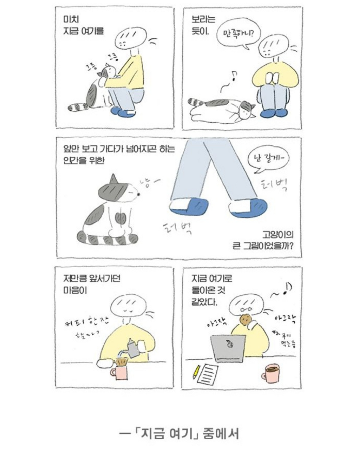 작고 귀여운내향|작고 귀여운 내성적인 사람