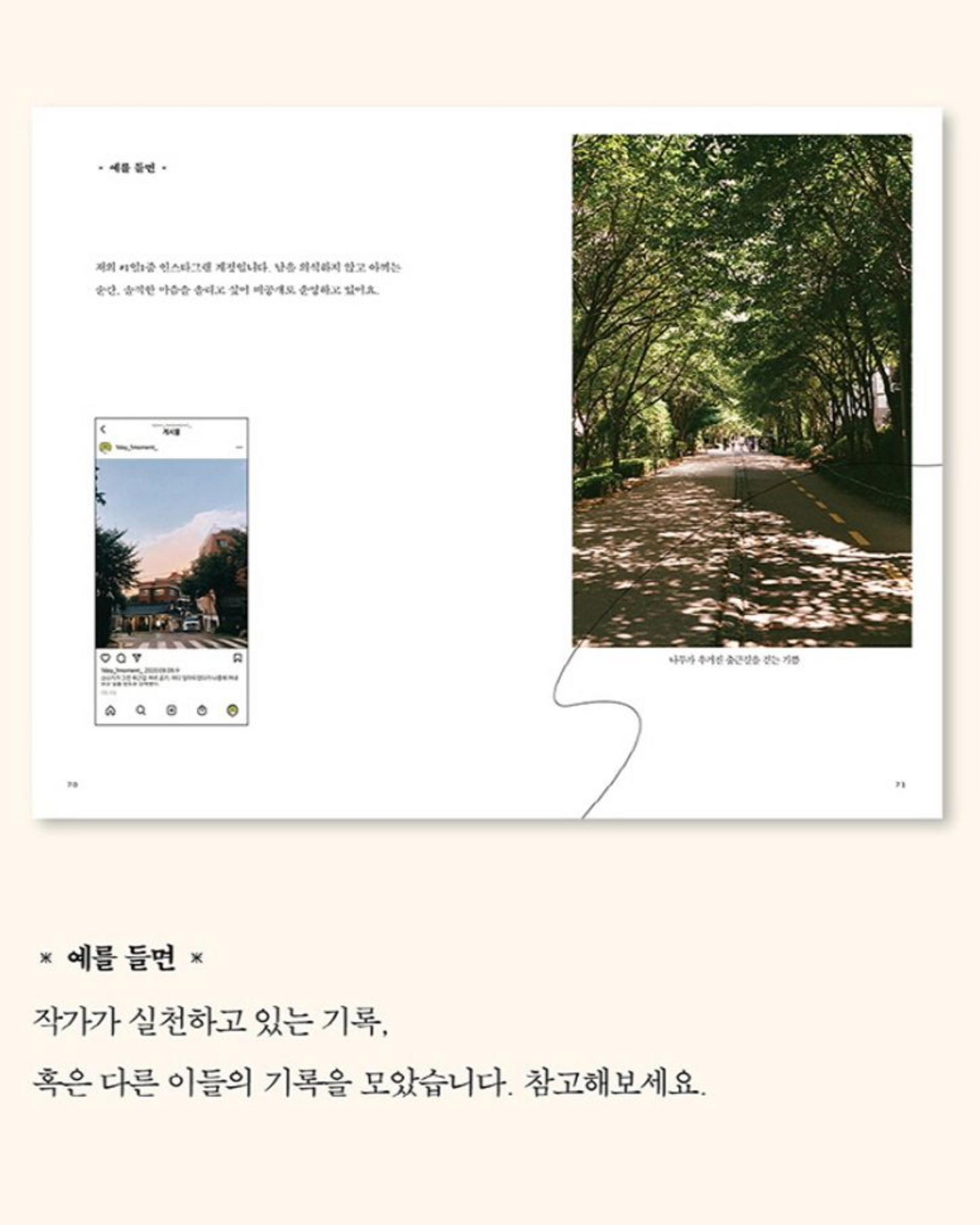 기록하기로 했습니다.|從此刻開始記錄