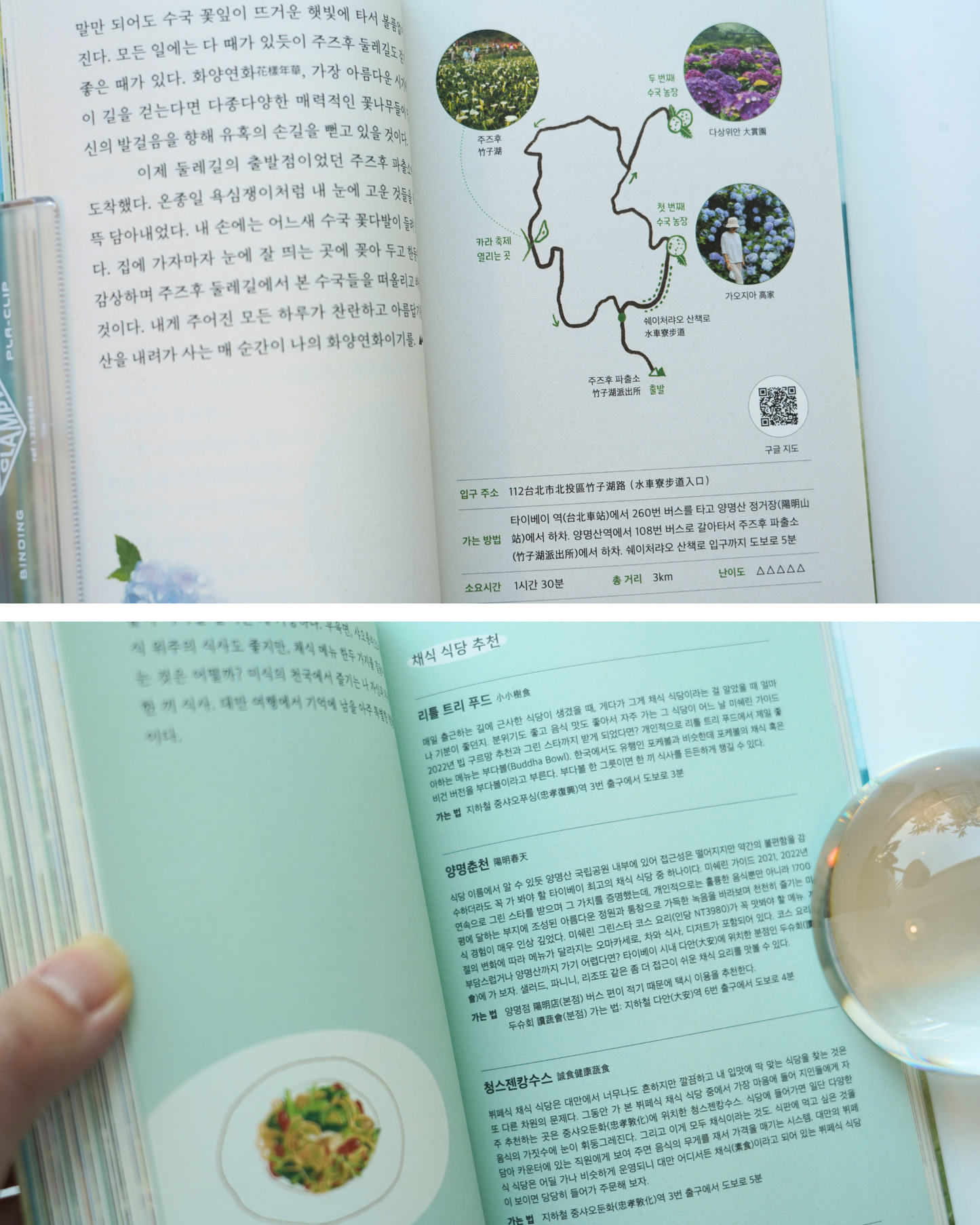 타이베이 산친구|臺北山友