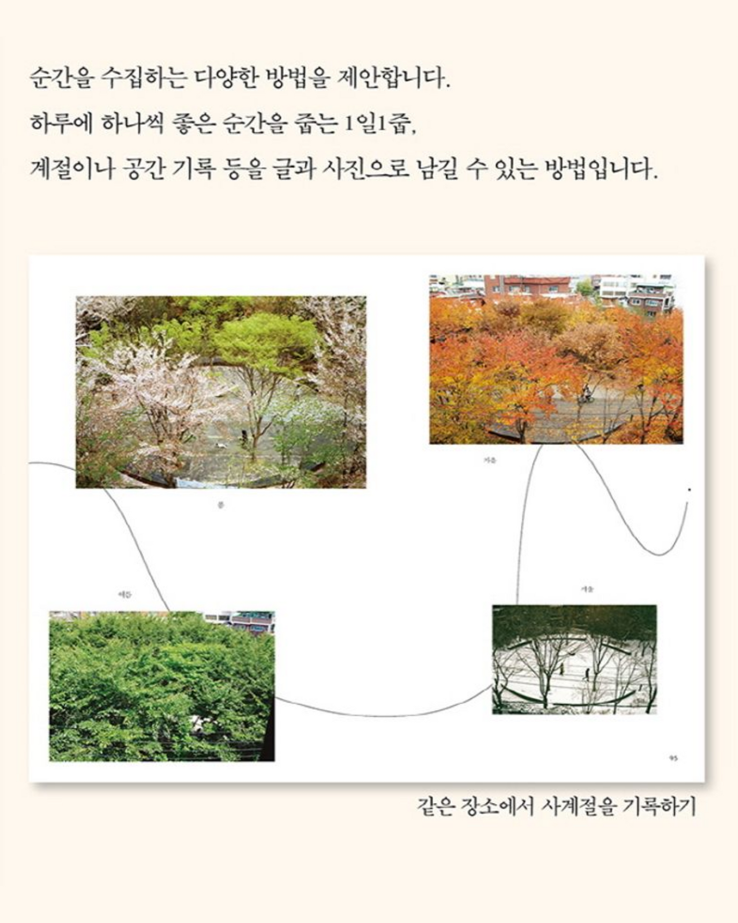 기록하기로 했습니다.|從此刻開始記錄