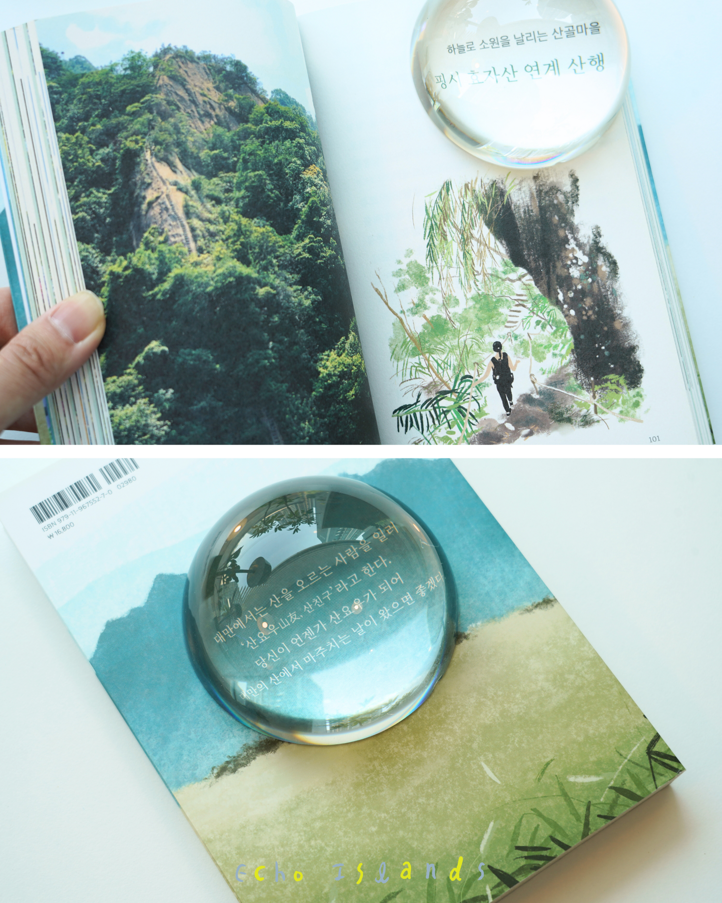 타이베이 산친구|臺北山友