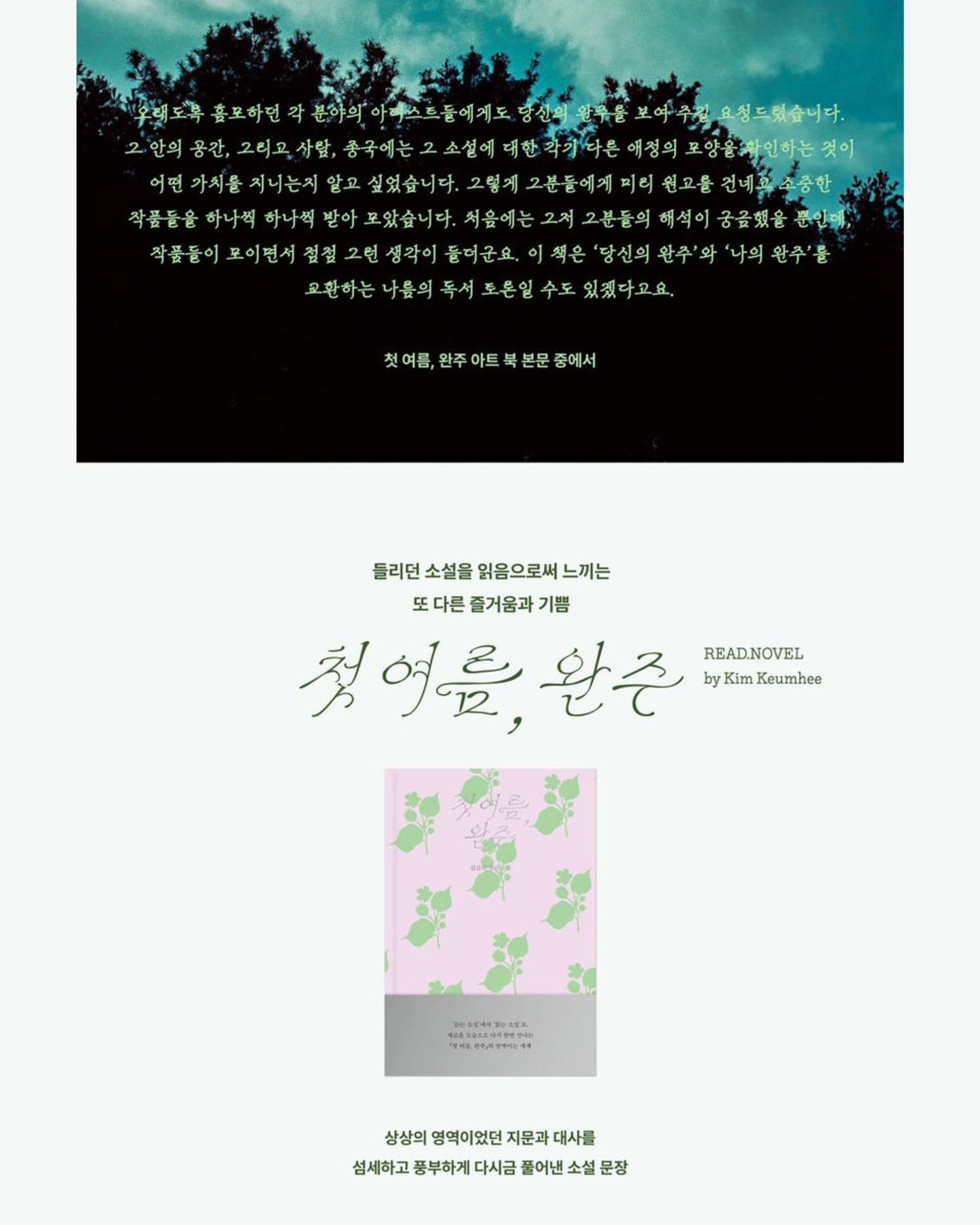 첫 여름, 완주 아트 북 & 읽는 소설 박스 세트|初夏,完州藝術套書