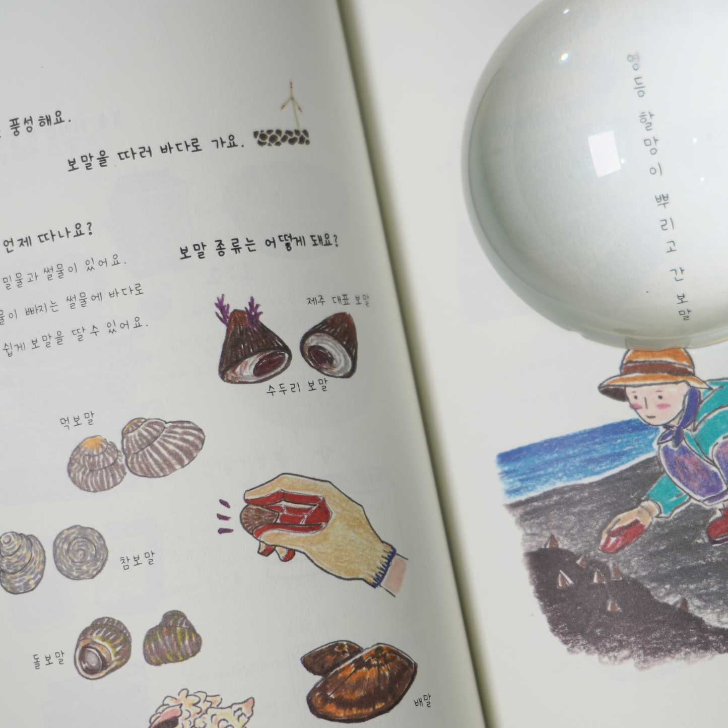 제주스러운 날들|제주도의 그 날들처럼