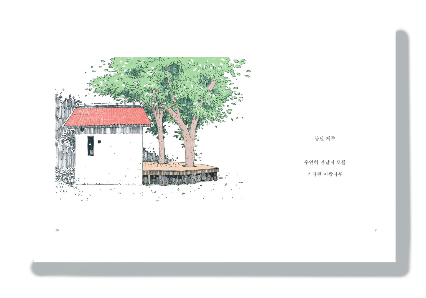 제주, 좋은날|Jeju, good days