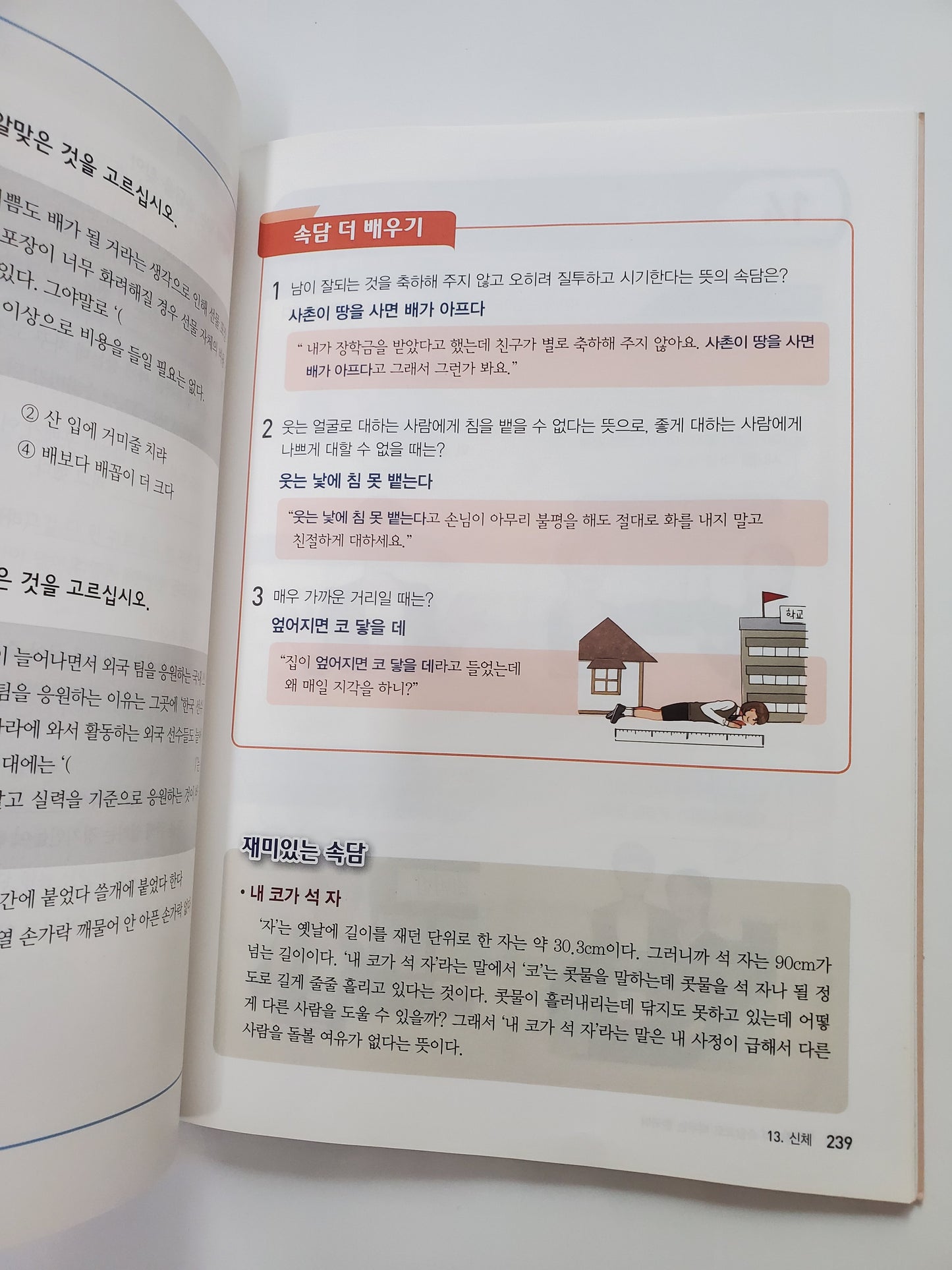 관용어와속담으로배우는한국어|관용어와 속담으로 한국어를 배워보세요