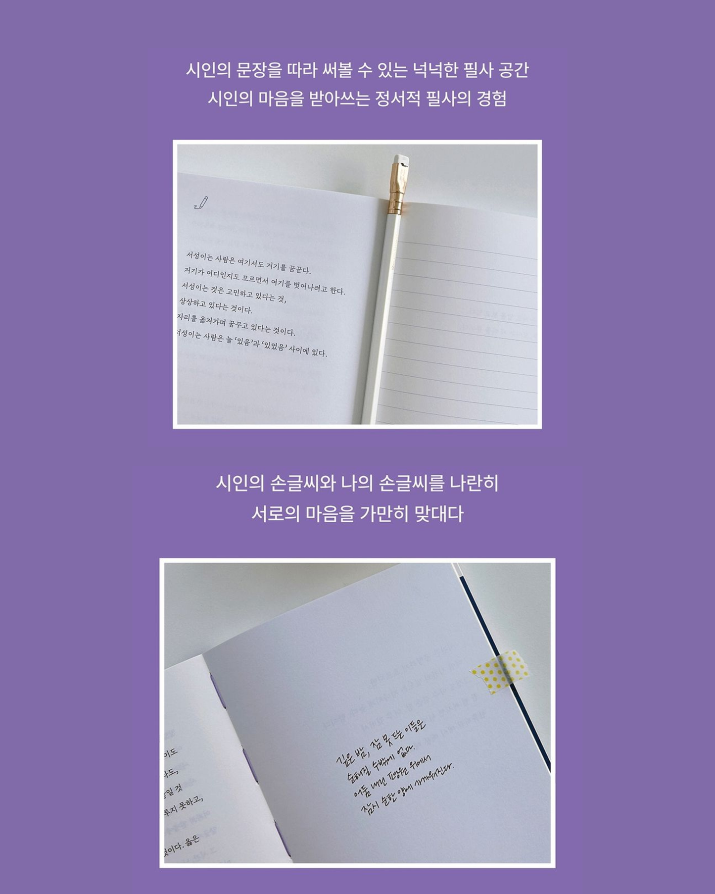 밤에만 착해지는 사람들｜只在夜晚變得善良的人們