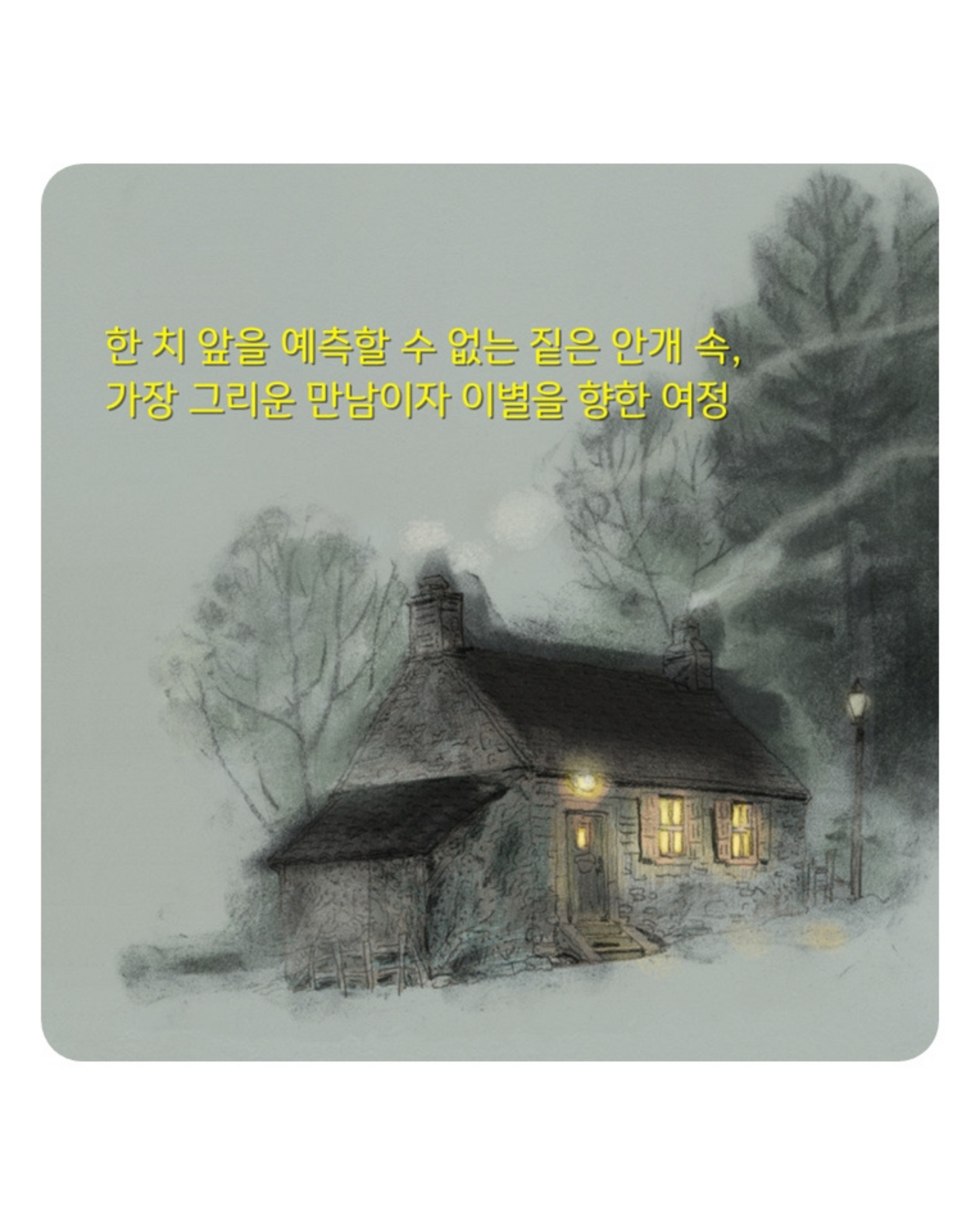 안개 숲을 지날 때｜穿越迷霧森林