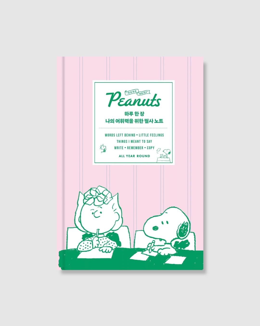 하루 한 장 나의 어휘력을 위한 필사 노트｜一天一頁提升韓文詞彙力的抄寫筆記