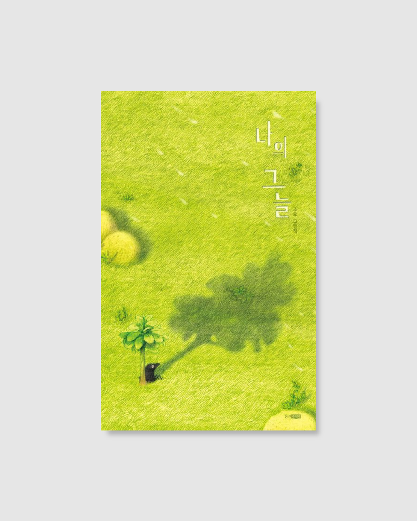 나의 그늘｜我的陰影