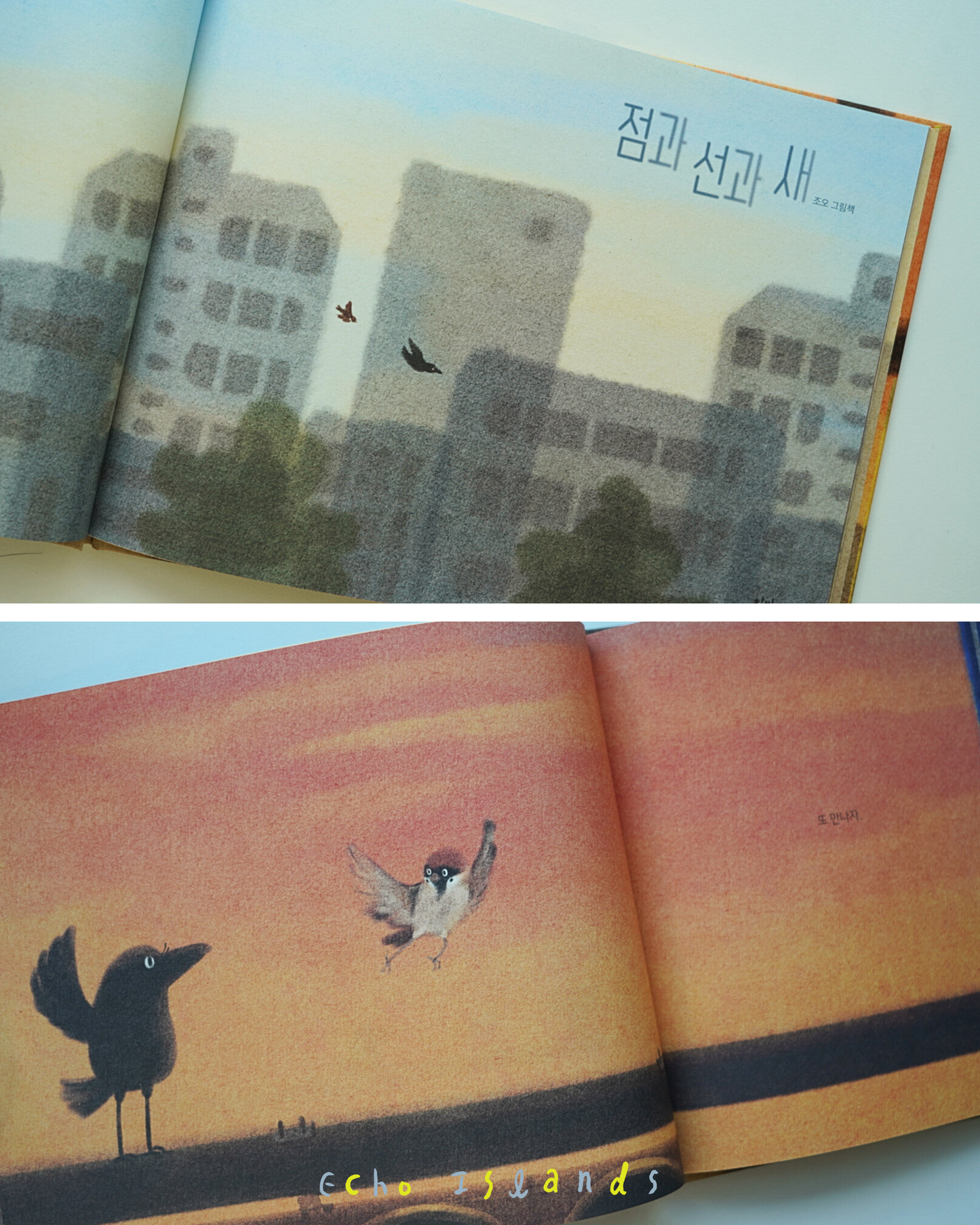 점과 선과 새｜點・線・鳥