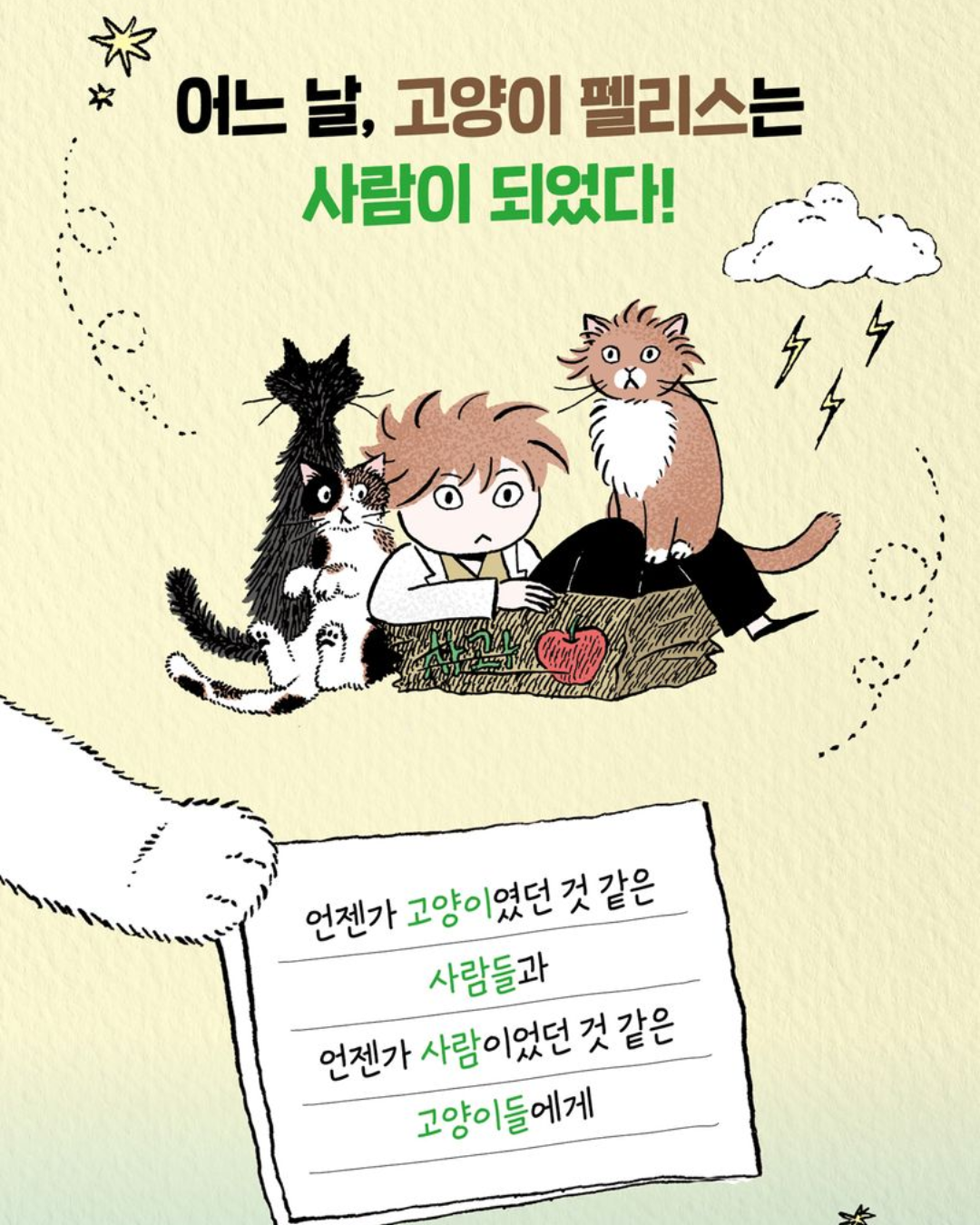 저주받은 고양이 펠리스｜被詛咒的貓咪菲利斯