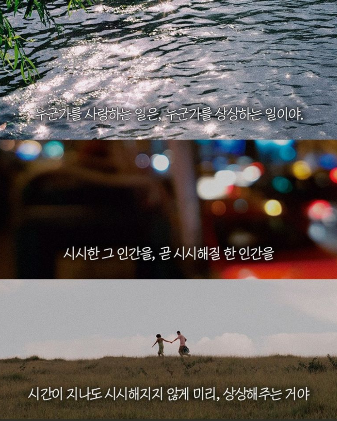 죽은 왕녀를 위한 파반느｜電影《孔雀舞曲》原著小說