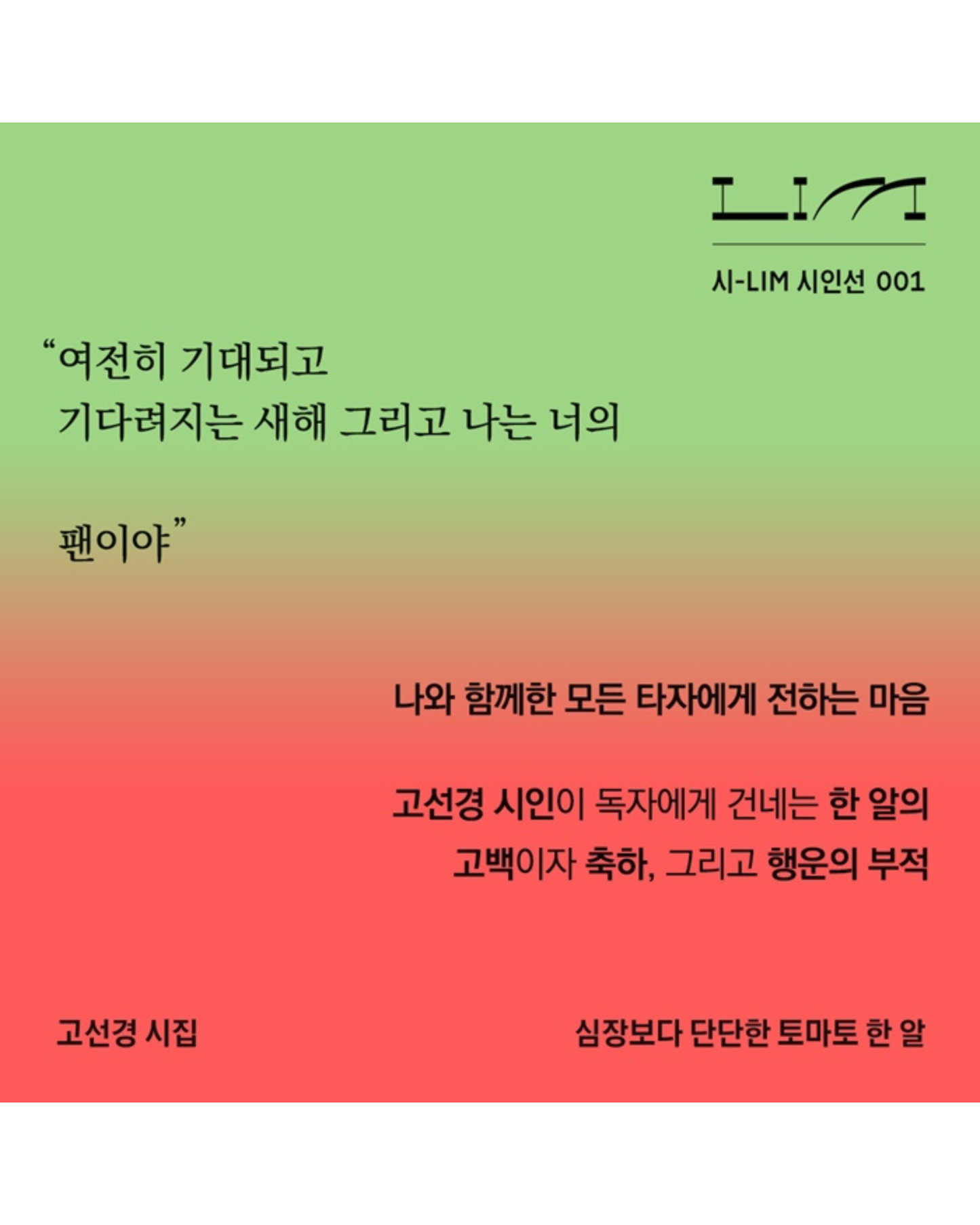 심장보다 단단한 토마토 한 알｜比心臟更堅強的一顆番茄