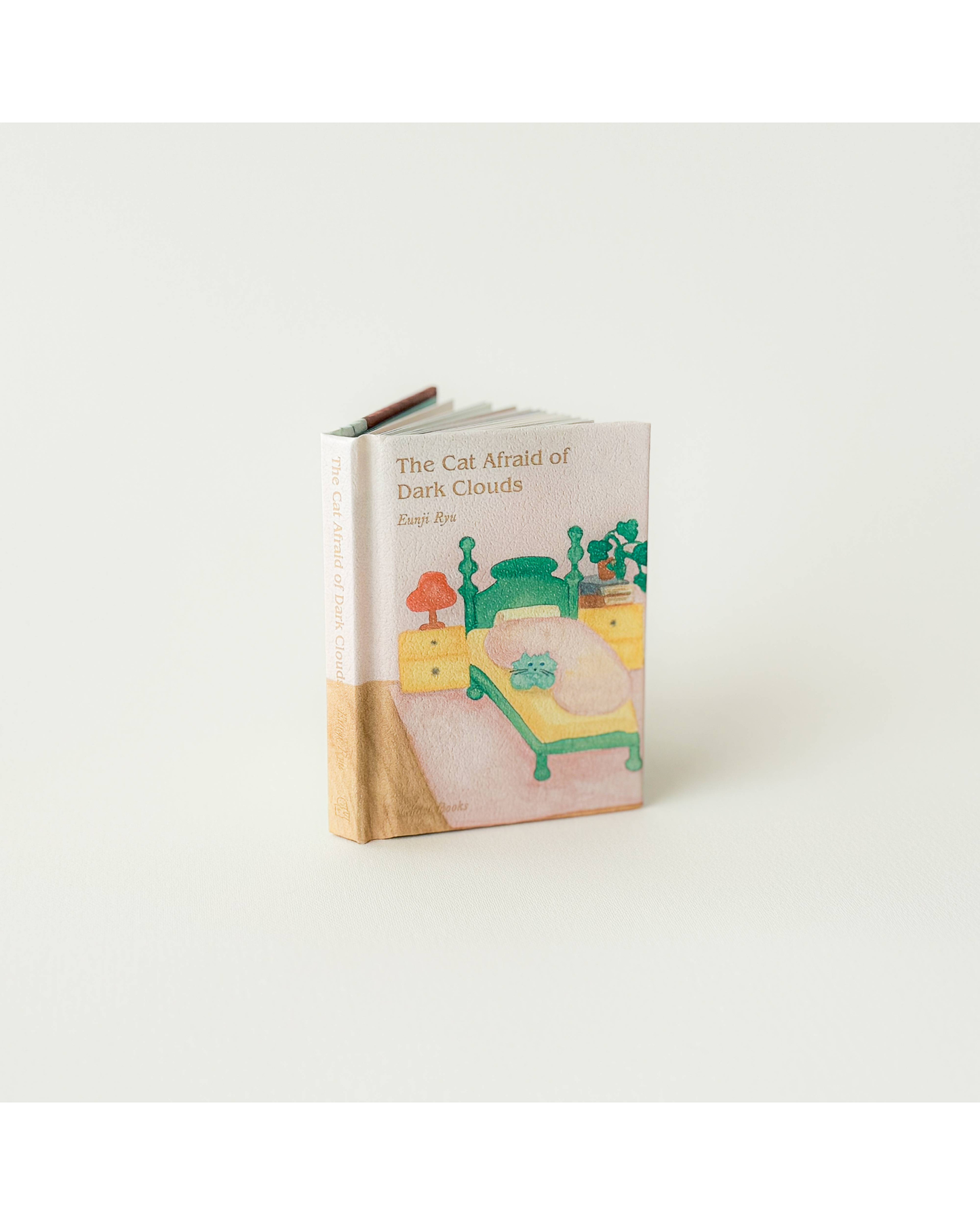 The Cat Afraid of Dark Clouds