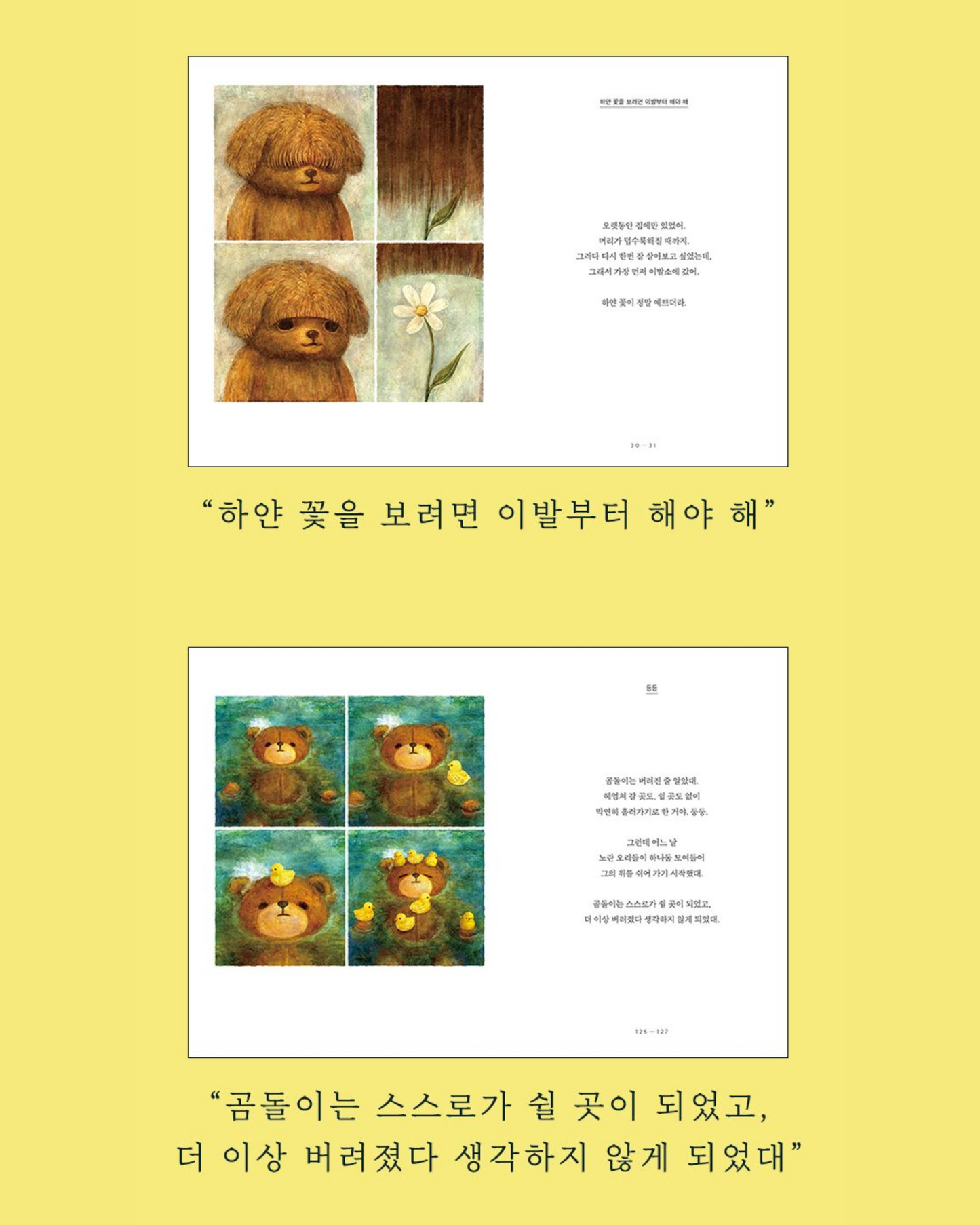 쌍란｜雙卵