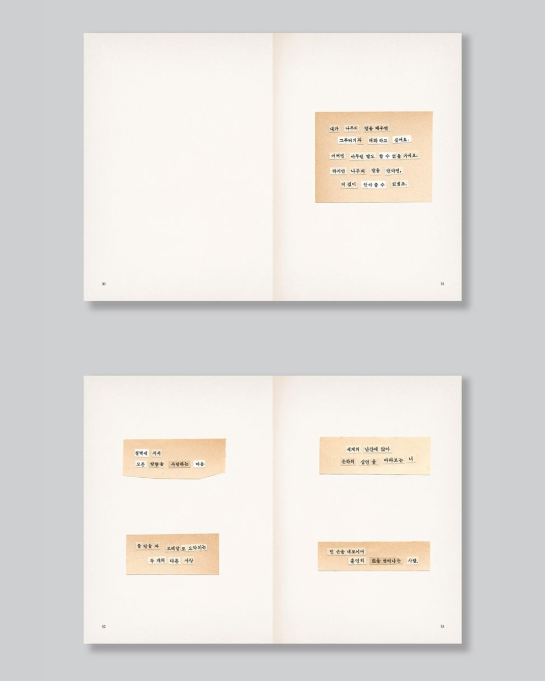 세계의 싹들｜世界的幼苗