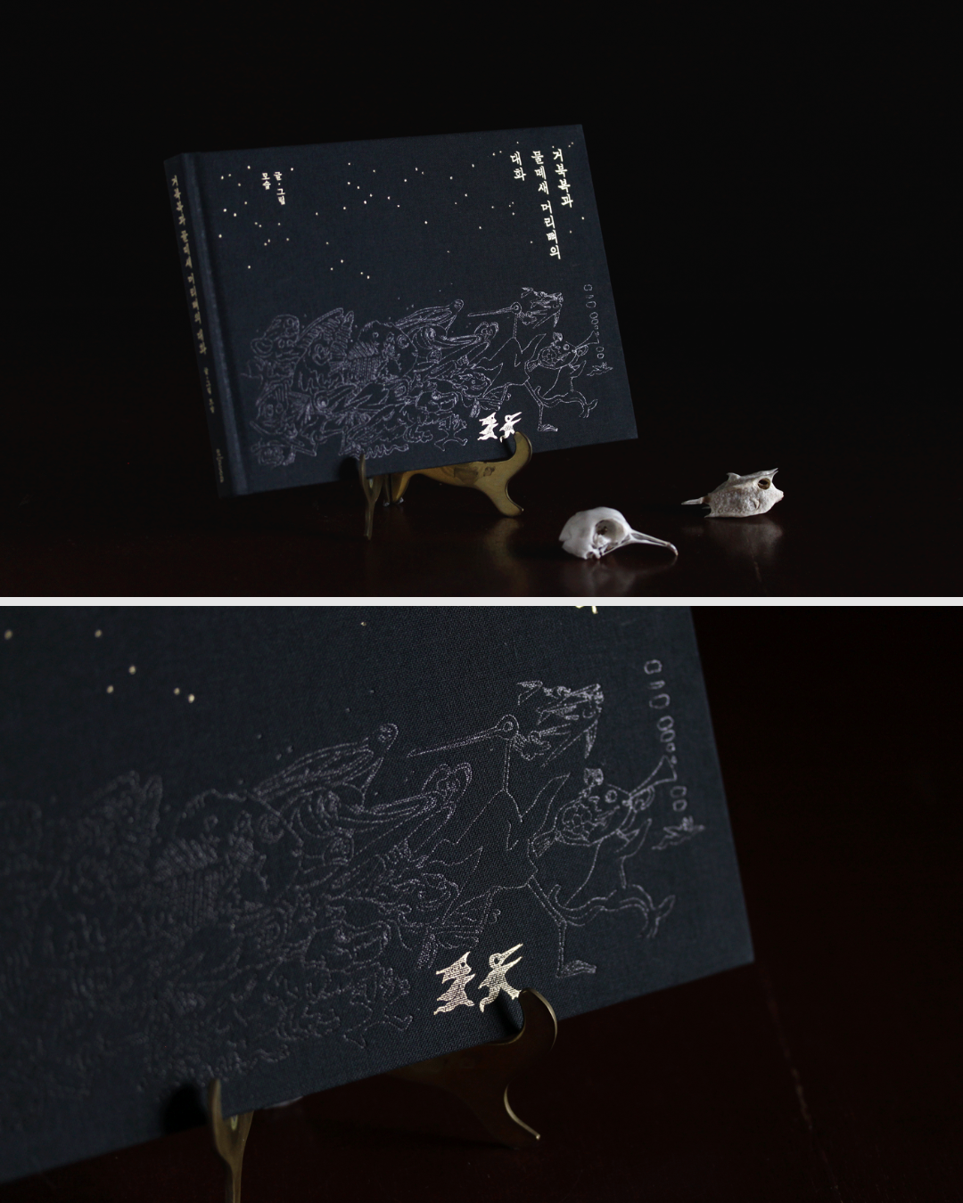 거북복과 물떼새 머리뼈의 대화｜箱魨與水鳥頭骨的對話