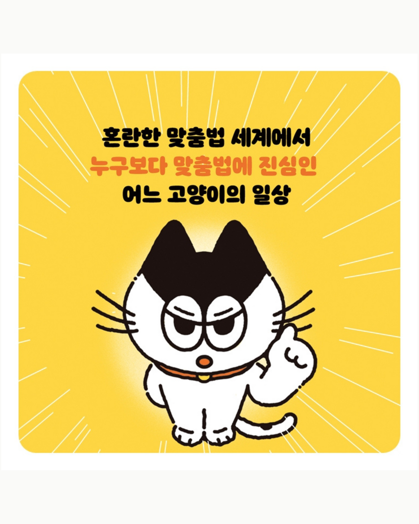 맞춤법에 진심인 편｜拼寫，是很嚴肅的
