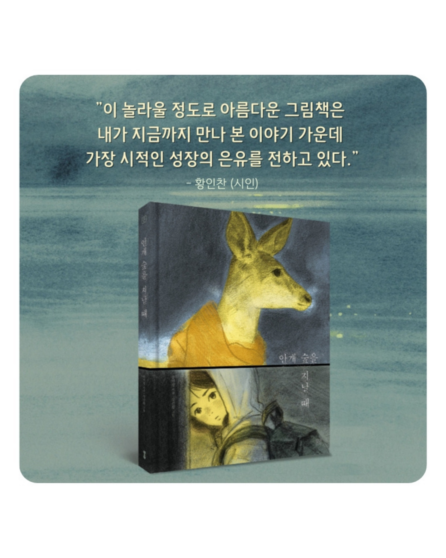 안개 숲을 지날 때｜穿越迷霧森林