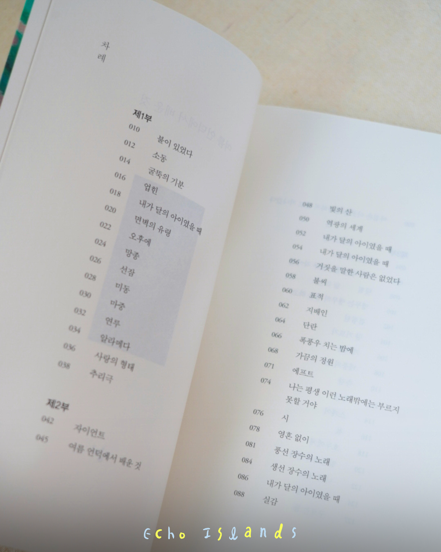 여름 언덕에서 배운 것｜在夏日山丘學到的事