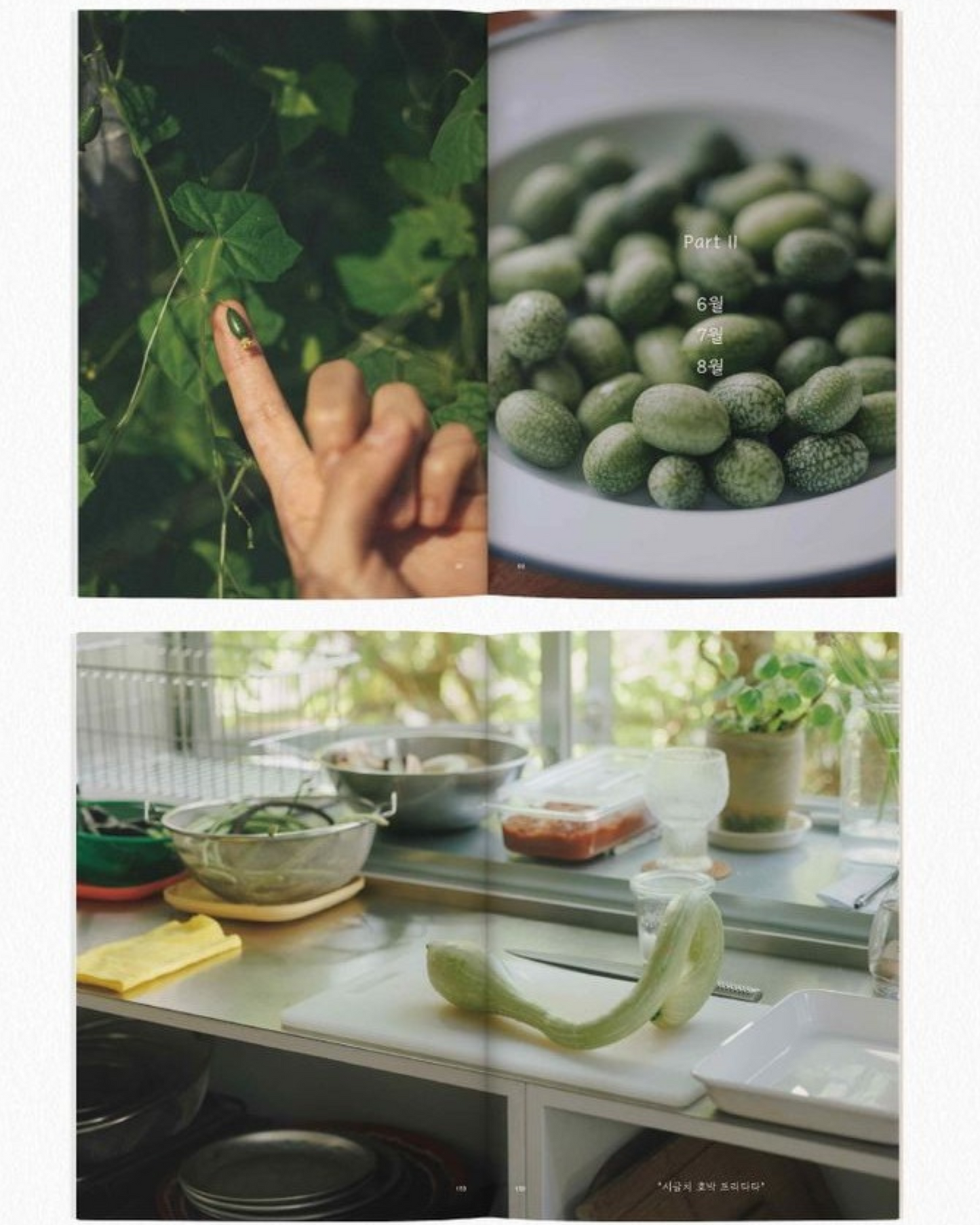 재료의 산책, 두 번째 이야기｜食材散步：第二部故事