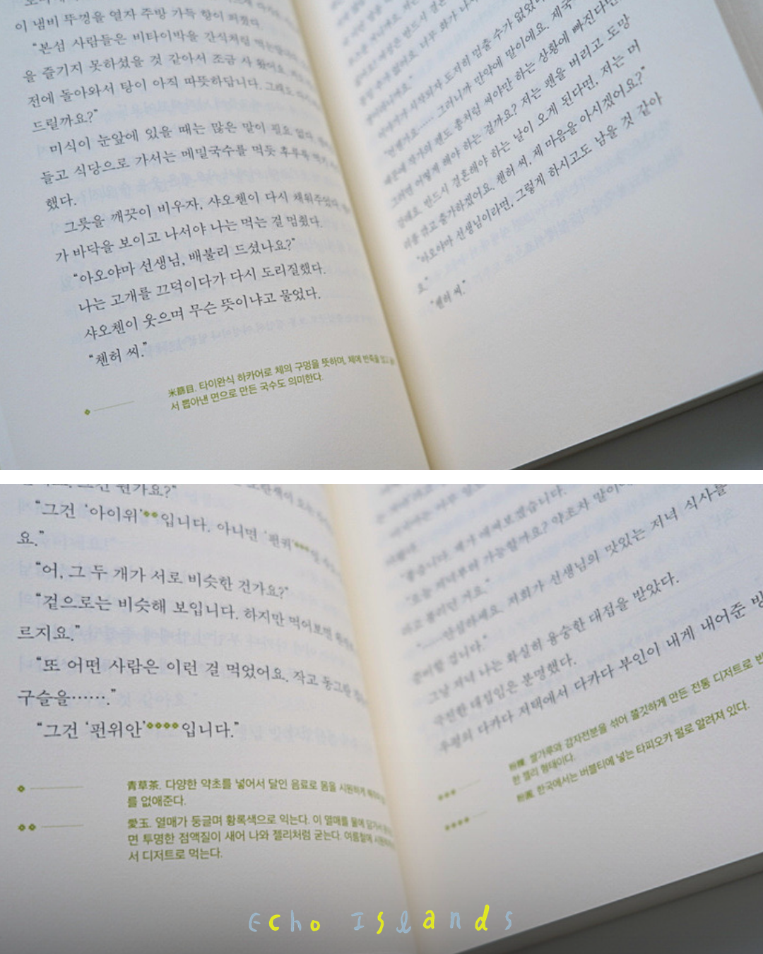 1938 타이완 여행기｜臺灣漫遊錄
