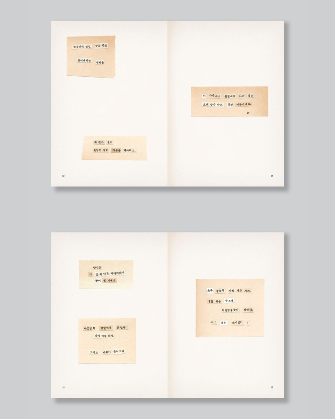 세계의 싹들｜世界的幼苗