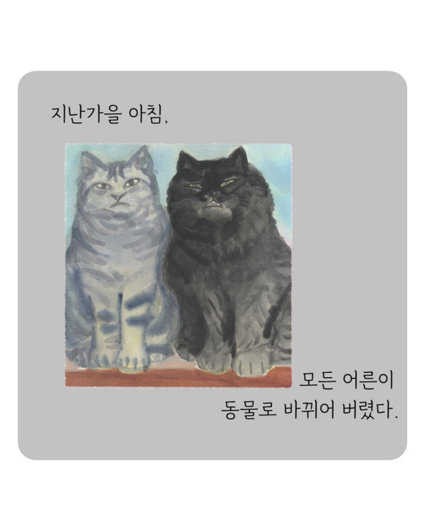 안개 숲을 지날 때｜穿越迷霧森林