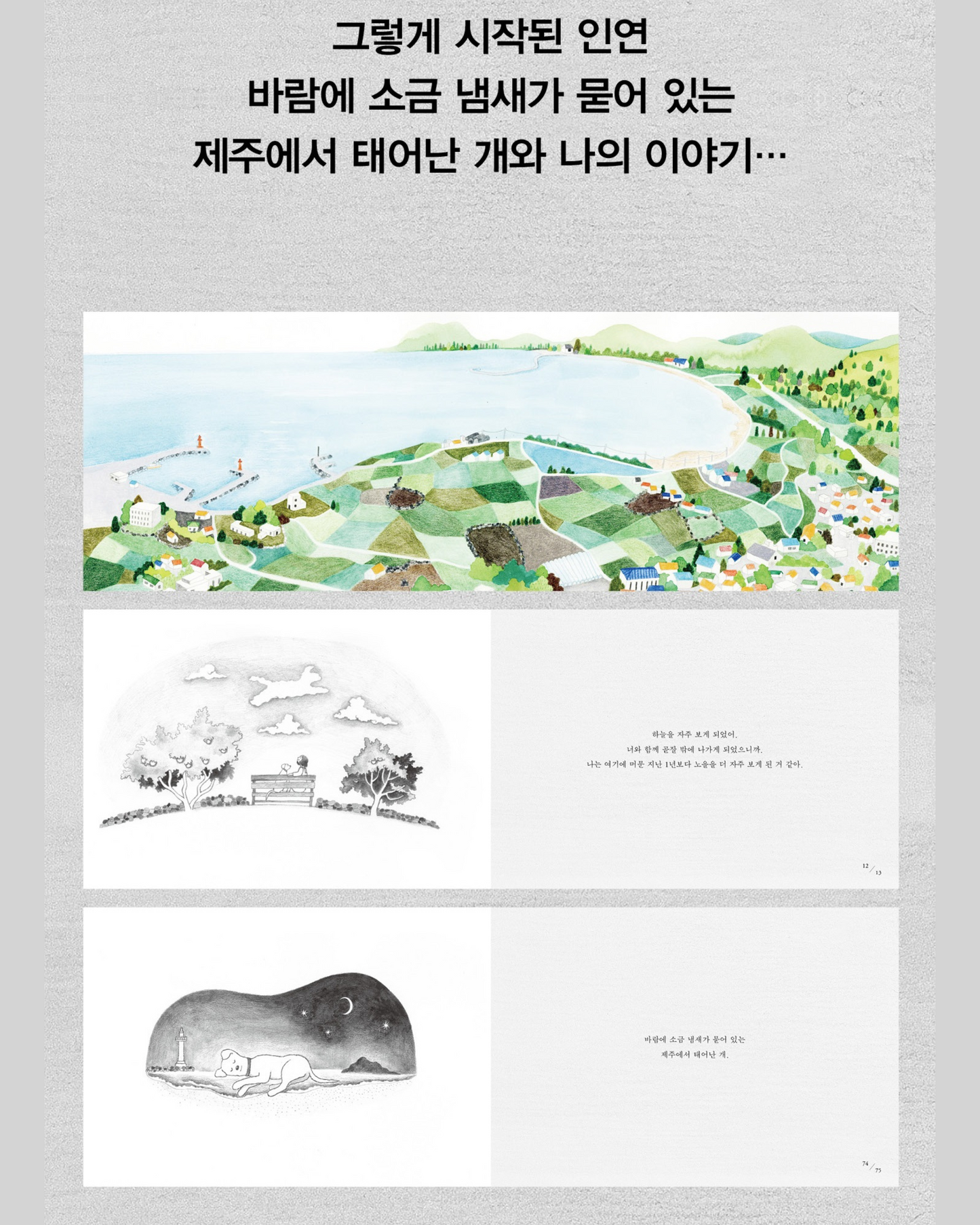 너의 시간은나의시간보다빠르지만|네 시간은 나보다 빠르다