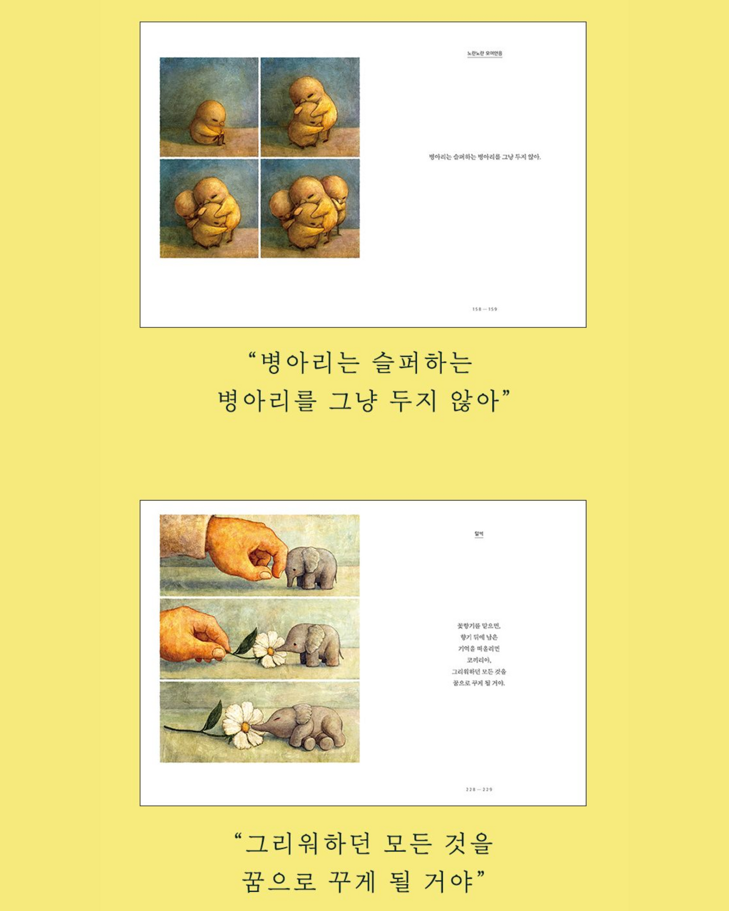 쌍란｜雙卵