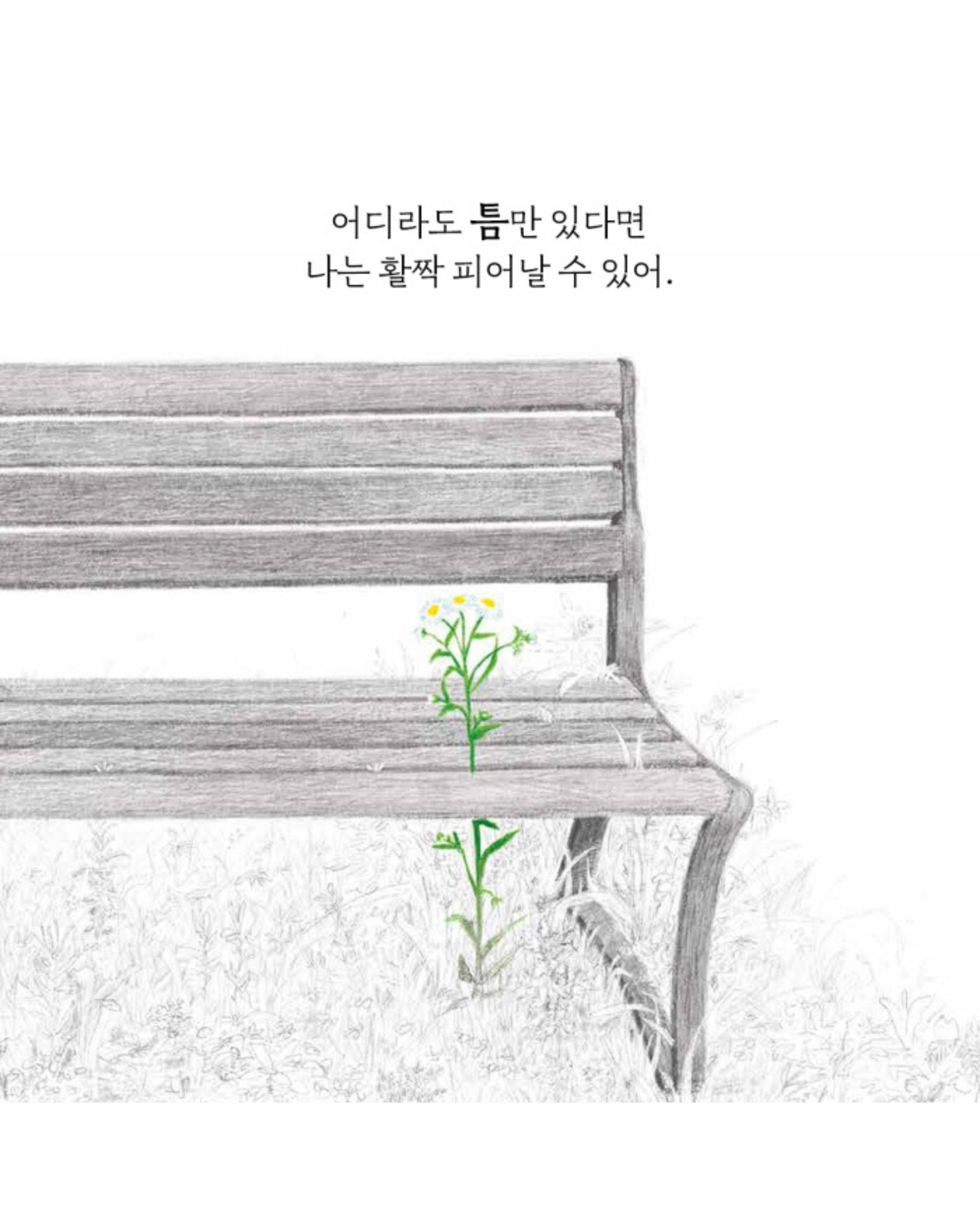 틈만 나면｜裂縫生光